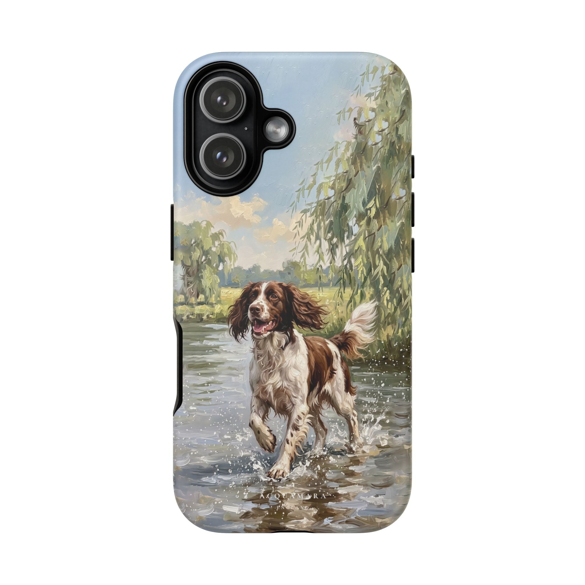 The Springer Spaniel (Liver and White)