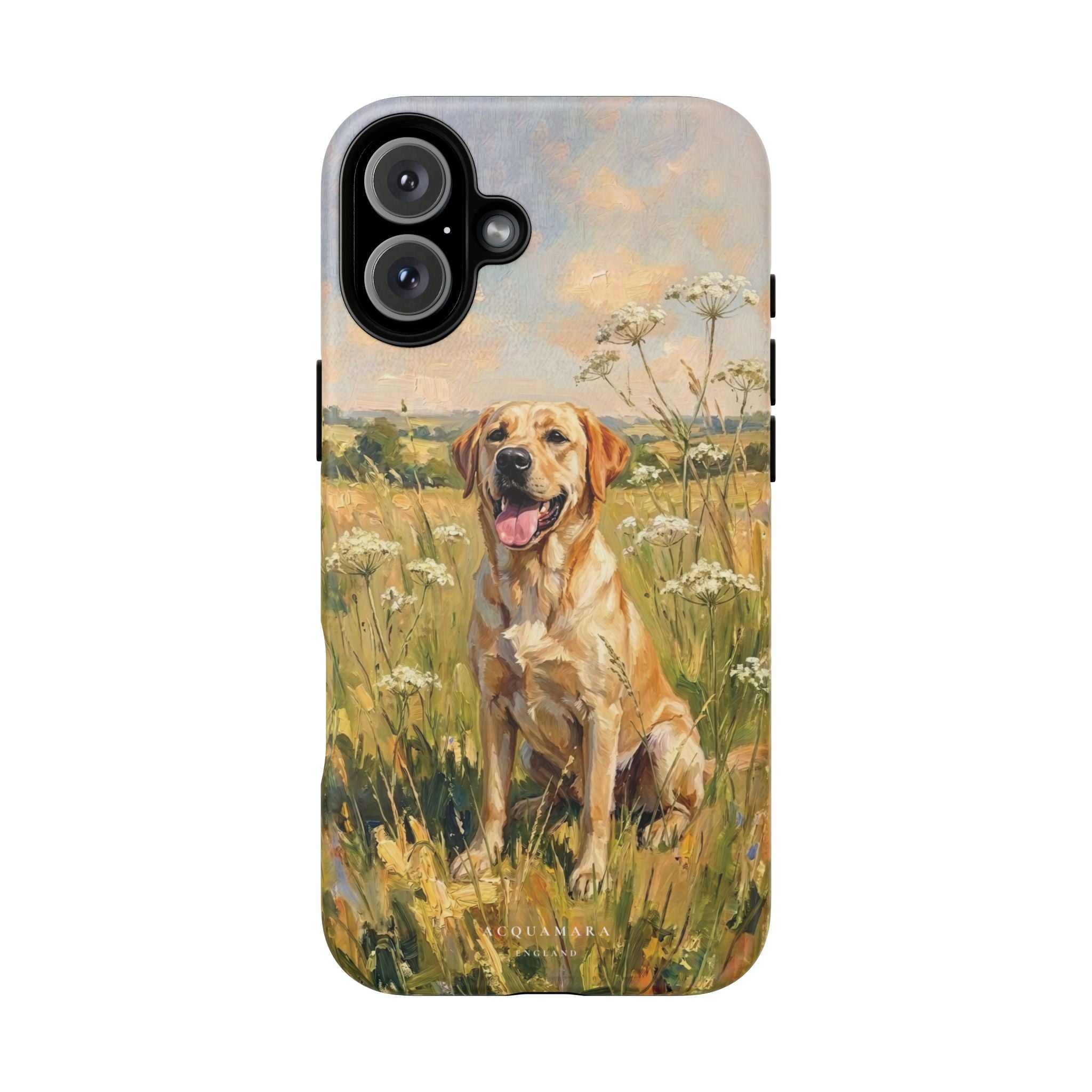 The Labrador (Yellow)