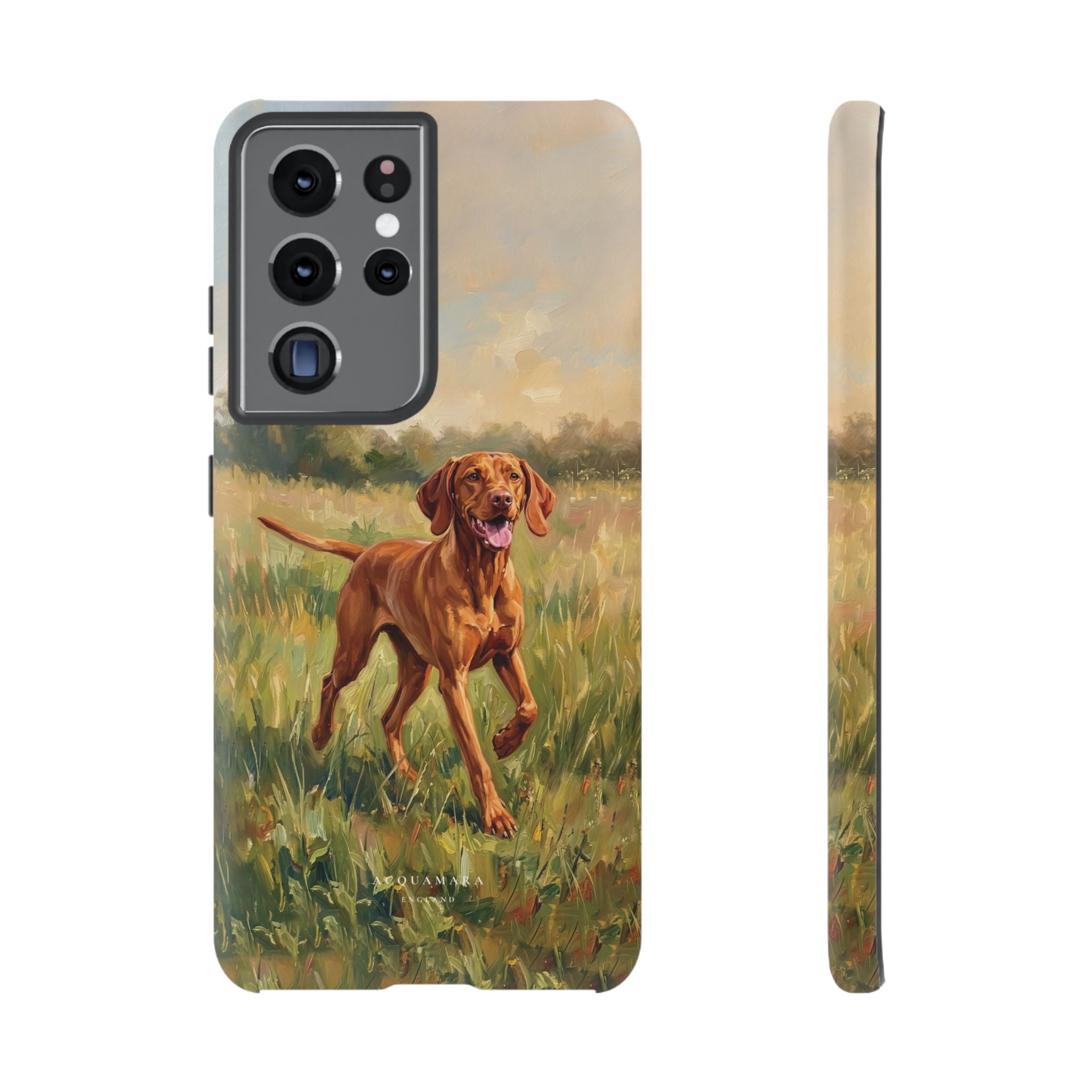 The Hungarian Vizsla