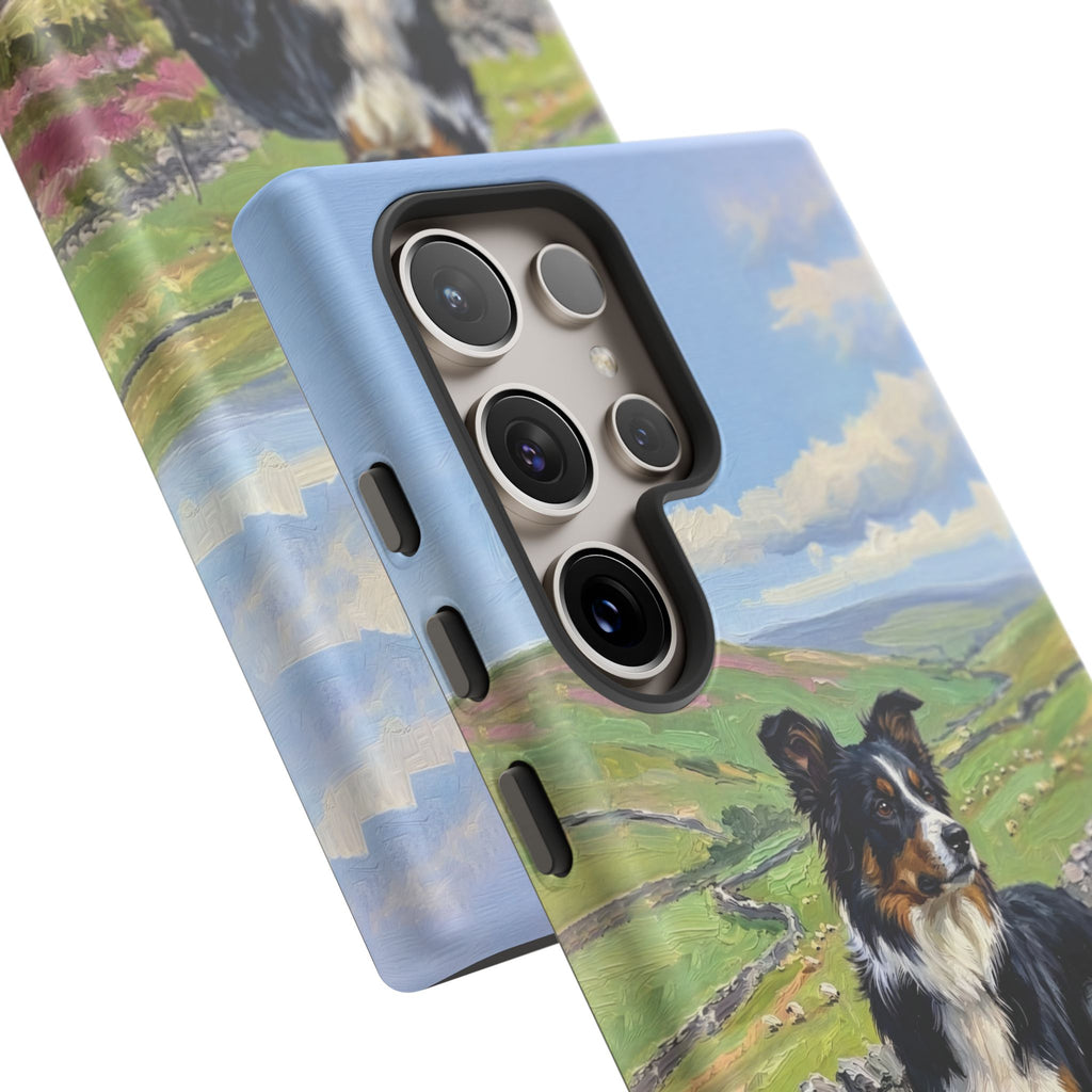 The Border Collie