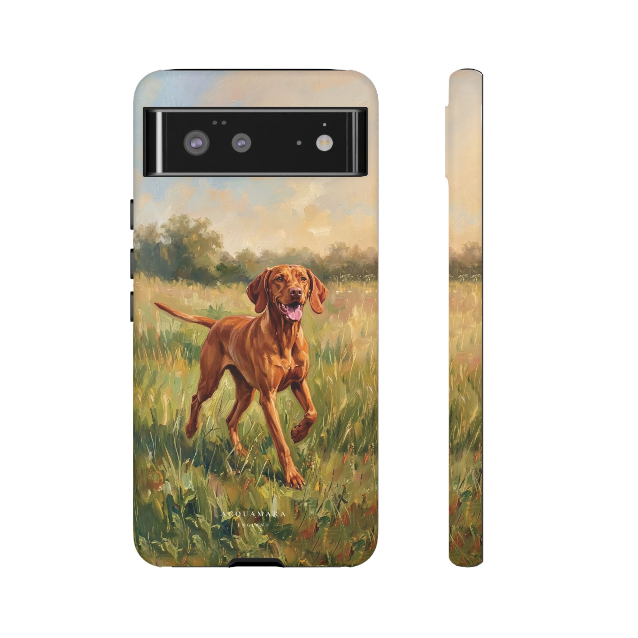 The Hungarian Vizsla