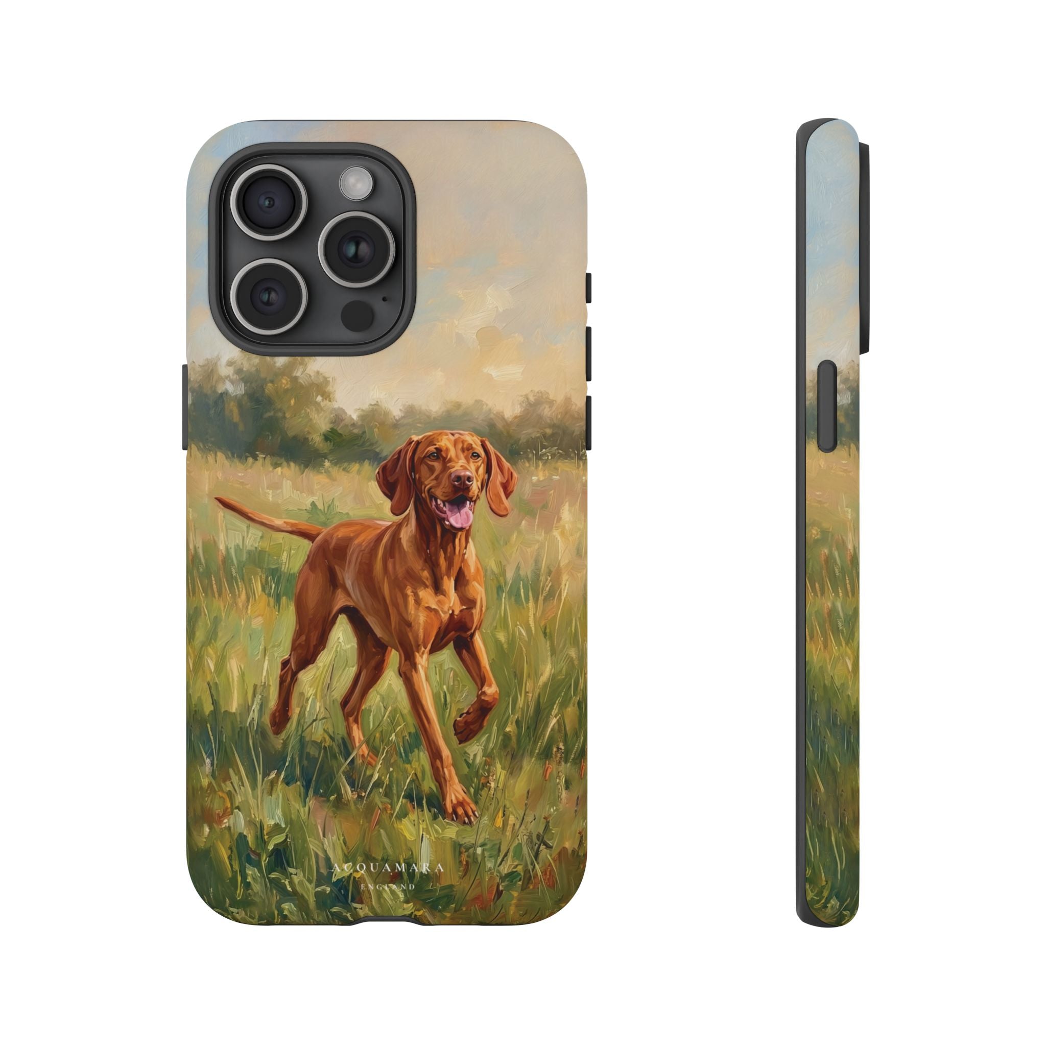 The Hungarian Vizsla