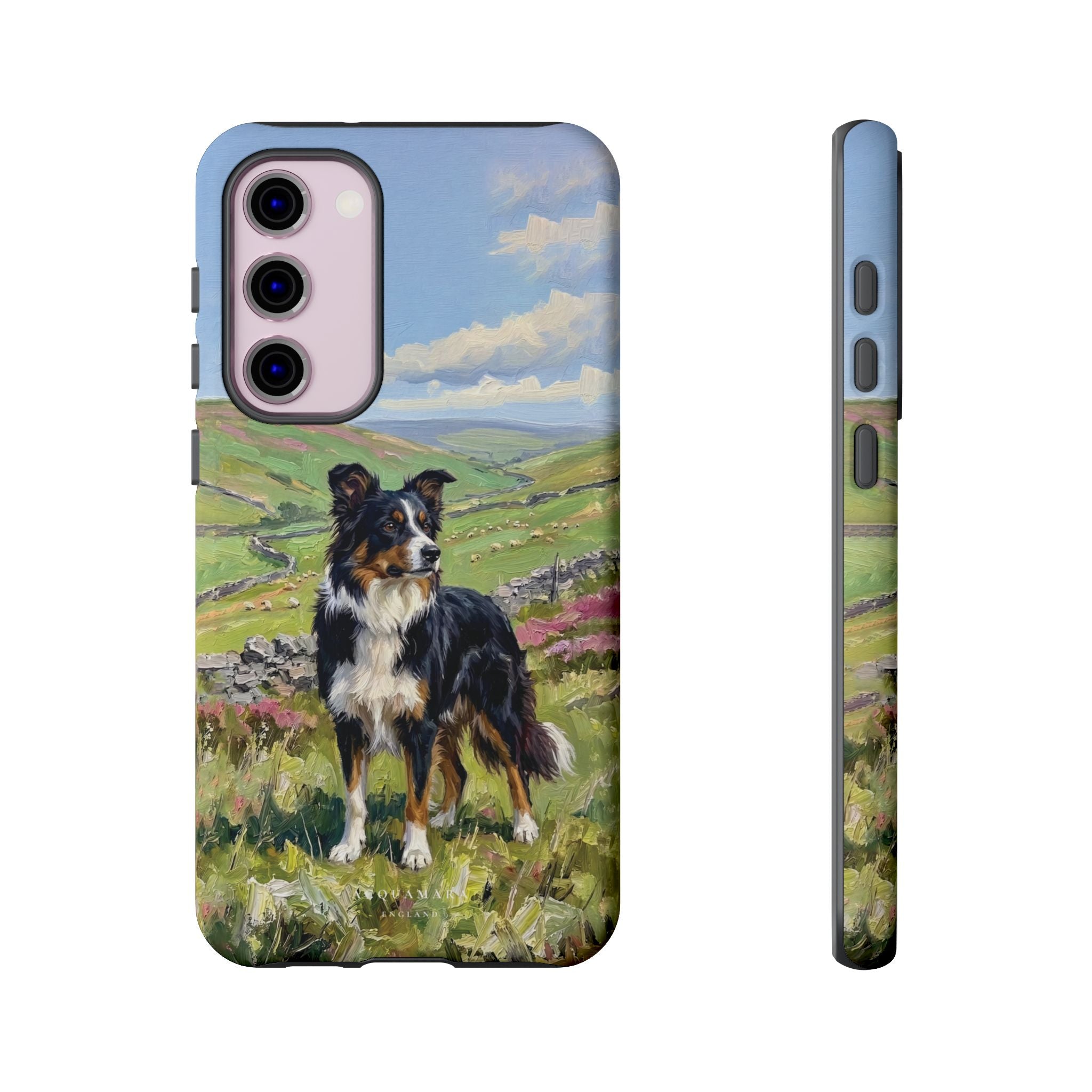 The Border Collie