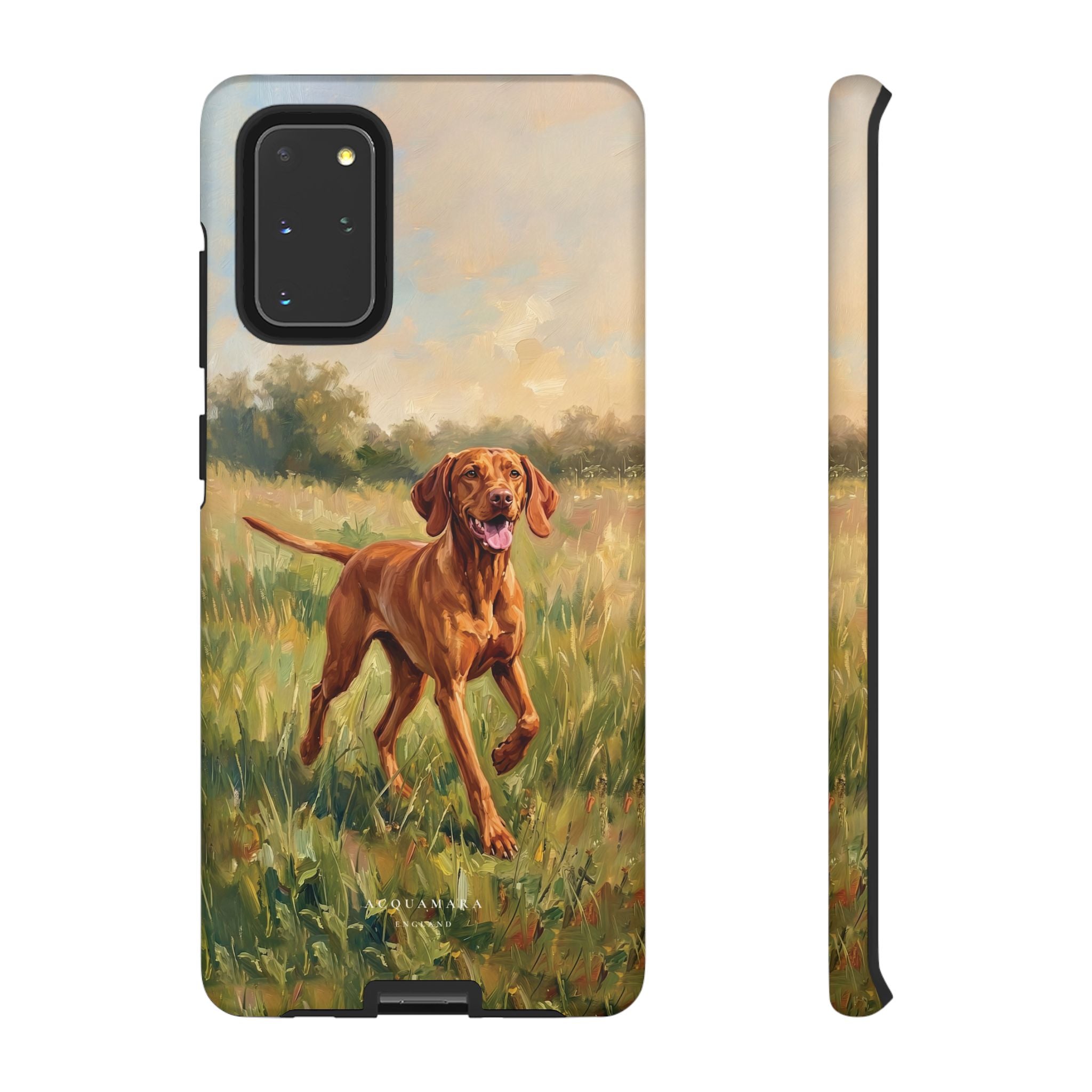 The Hungarian Vizsla