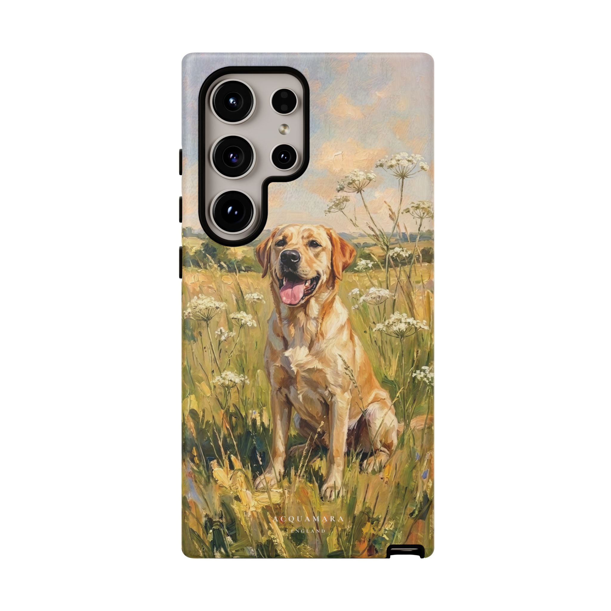 The Labrador (Yellow)