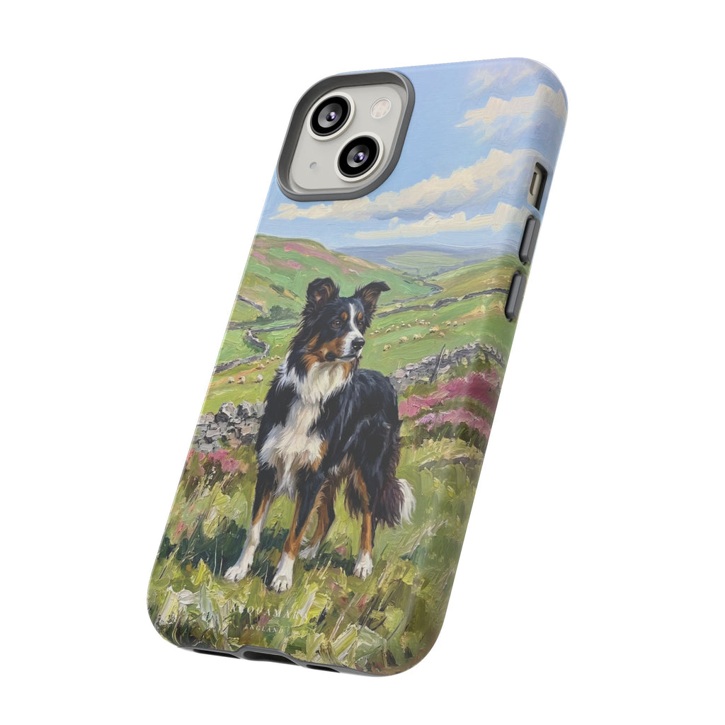 The Border Collie