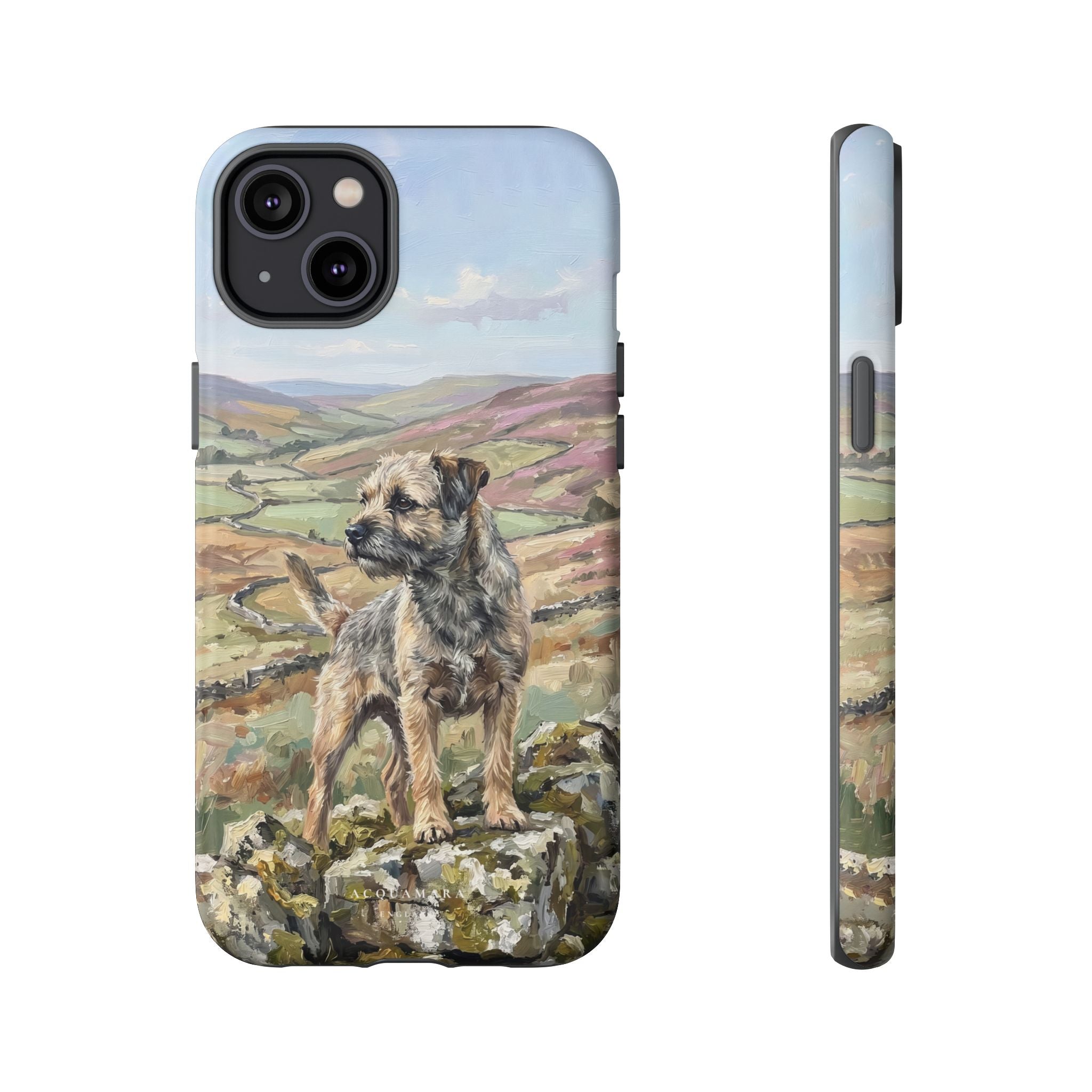 The Border Terrier (Grizzle and Tan)