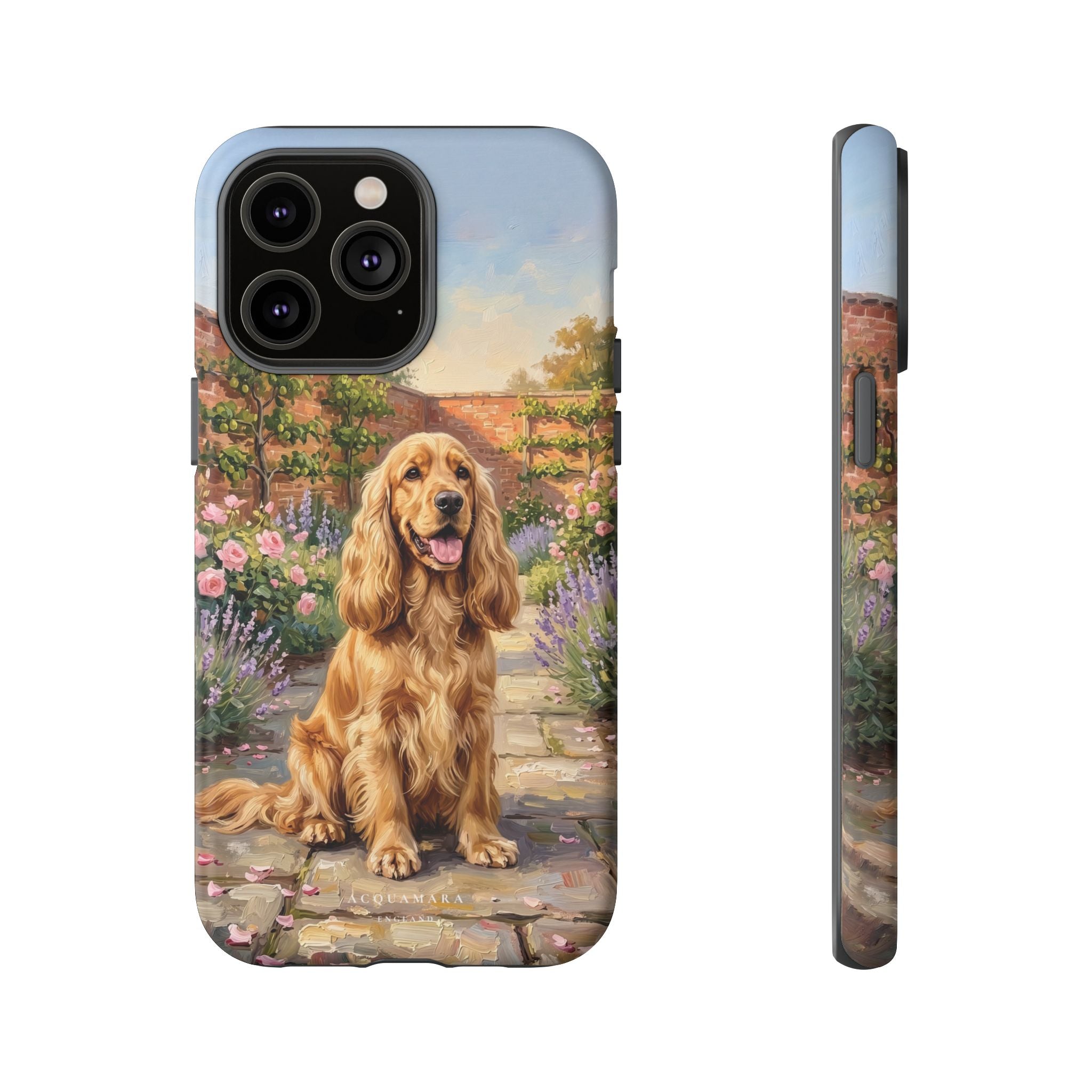 The Show Cocker (Golden)