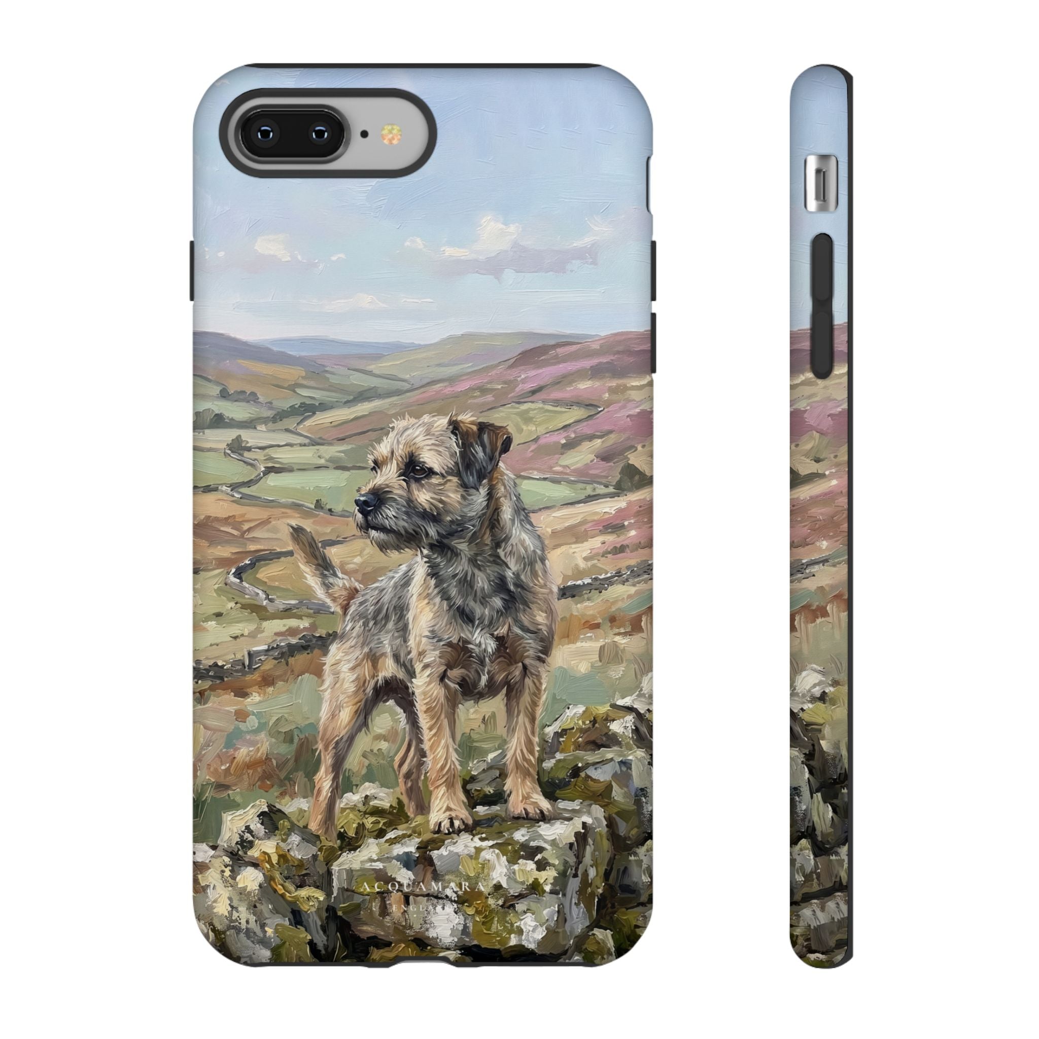 The Border Terrier (Grizzle and Tan)