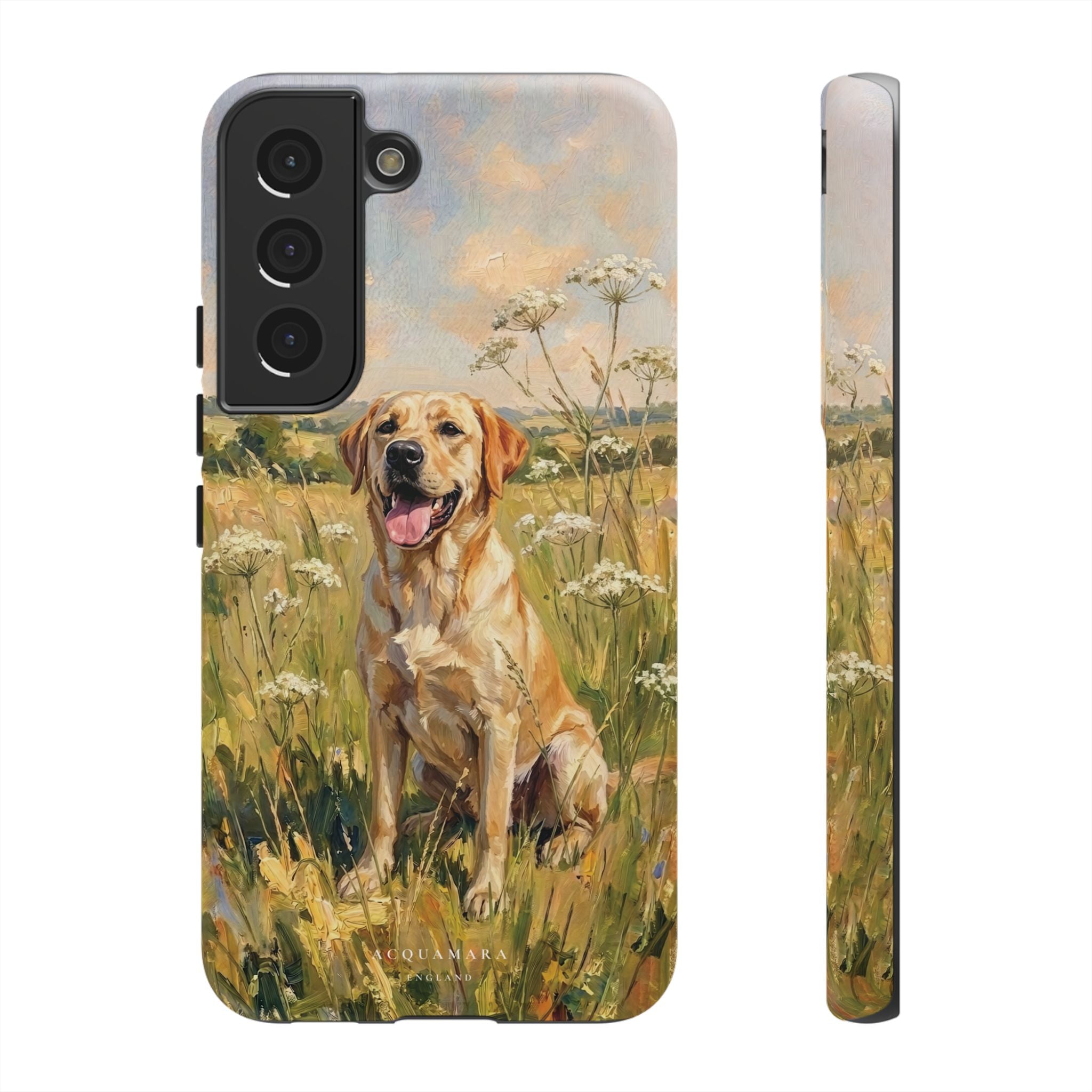 The Labrador (Yellow)