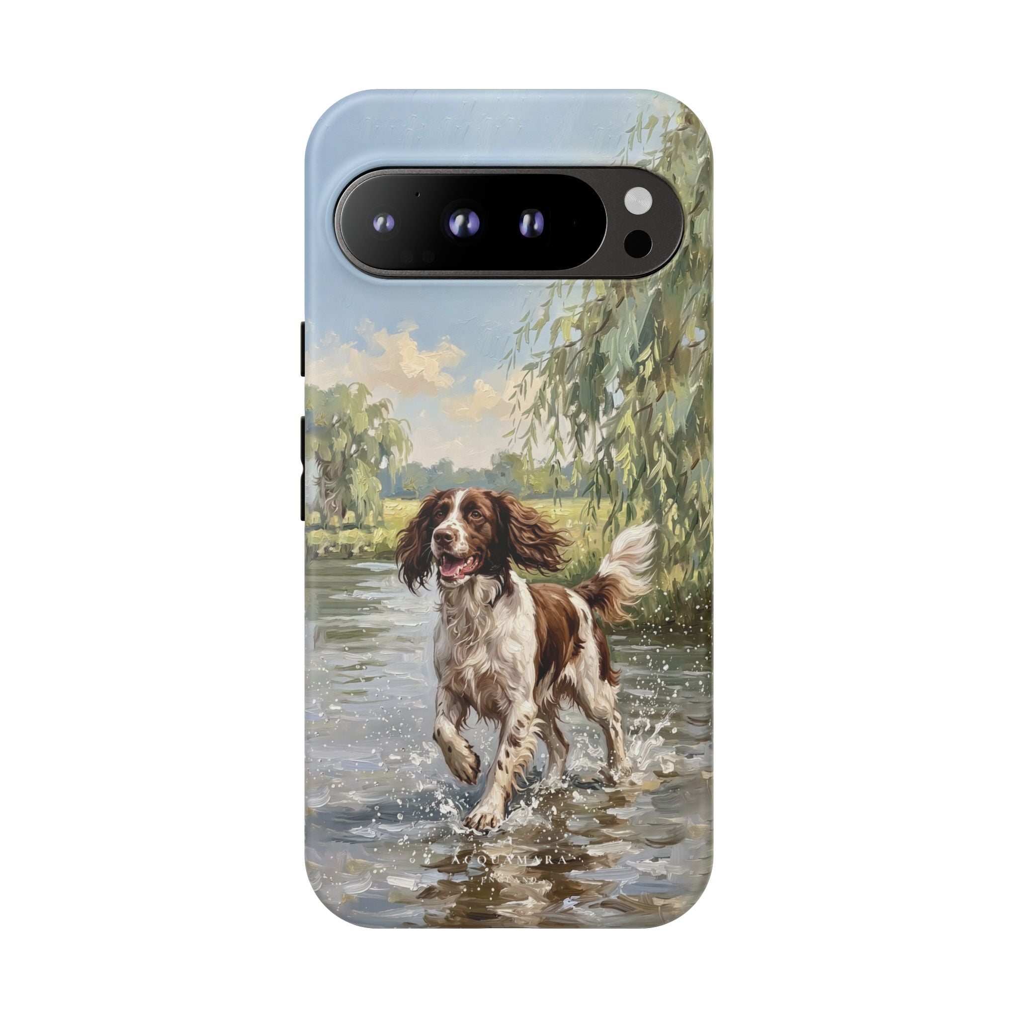 The Springer Spaniel (Liver and White)