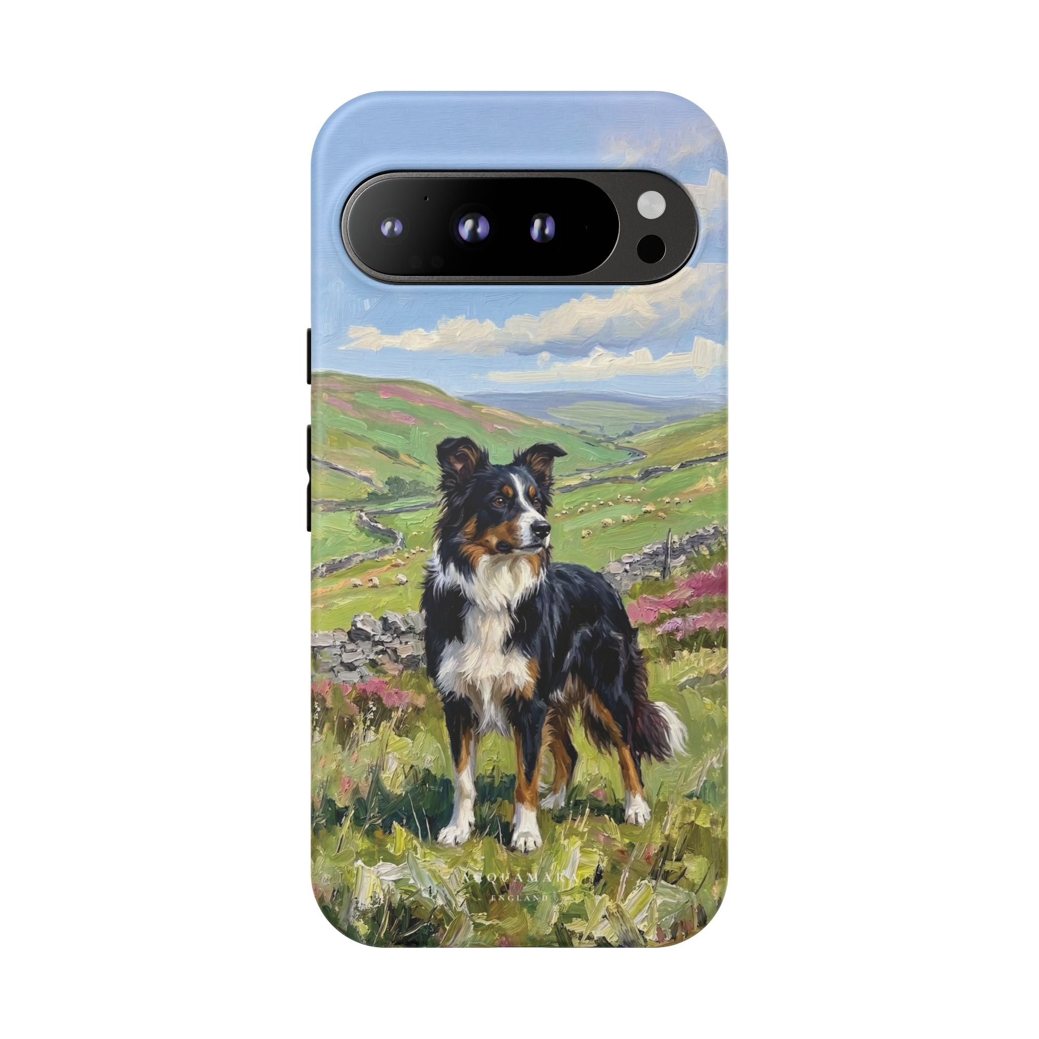 The Border Collie