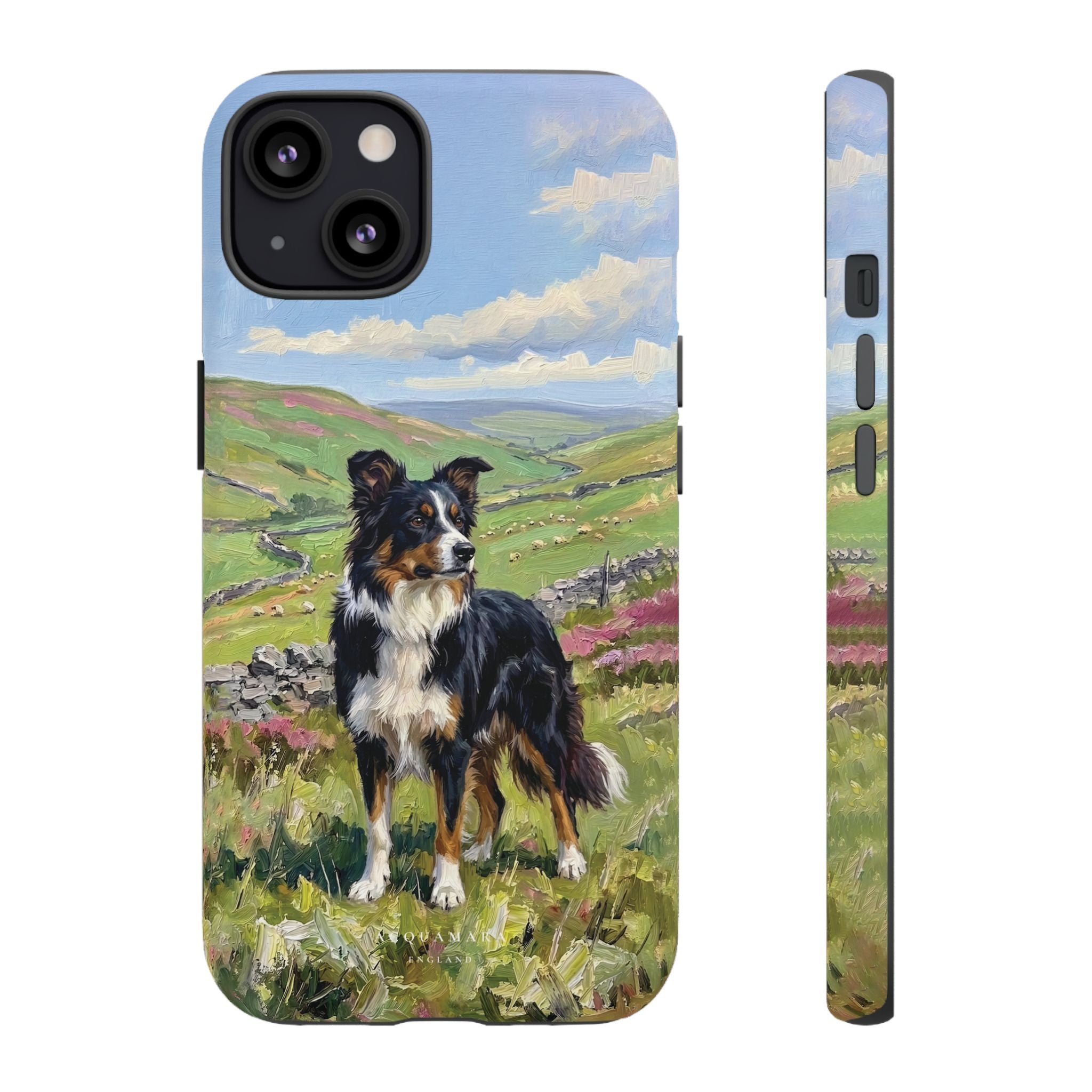 The Border Collie