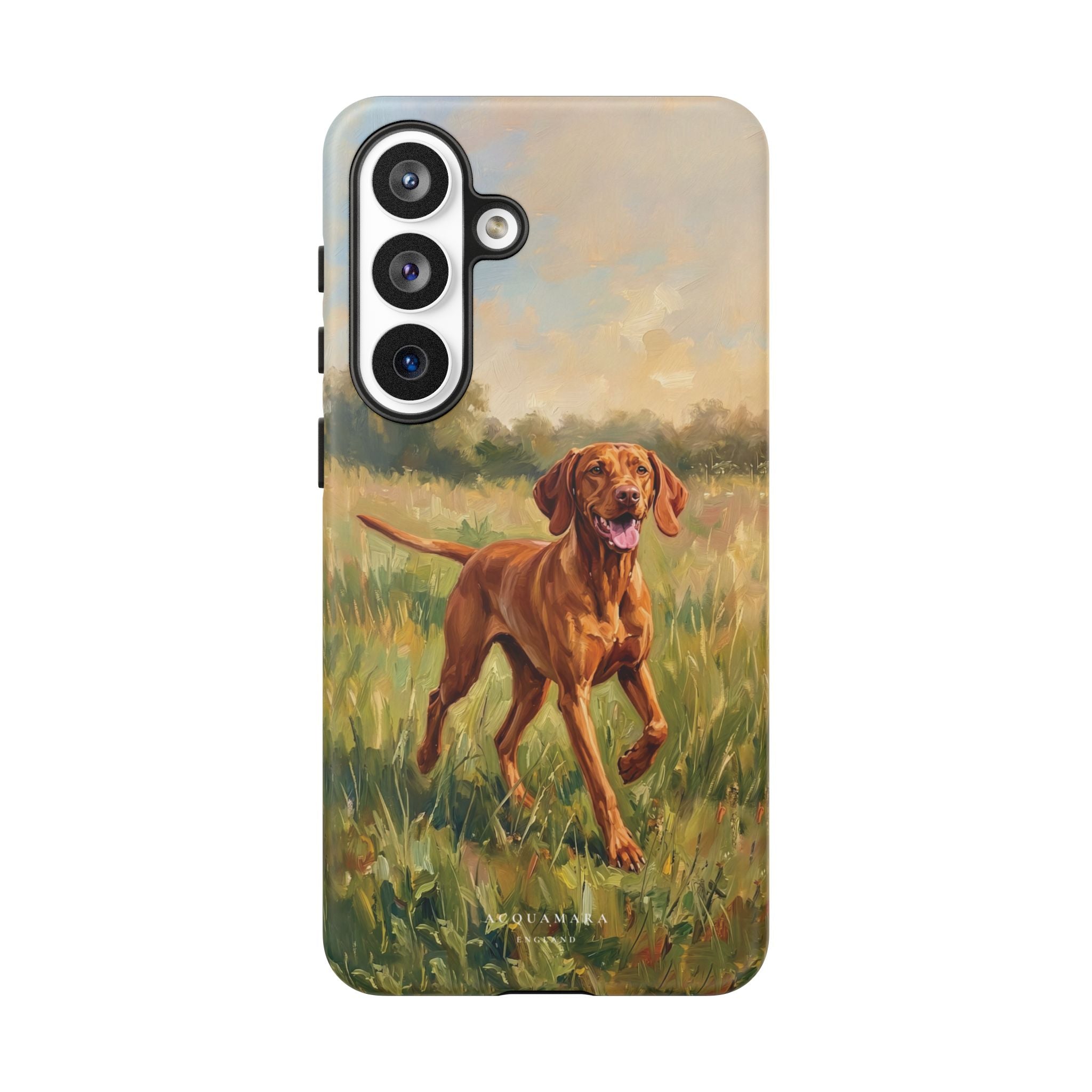 The Hungarian Vizsla