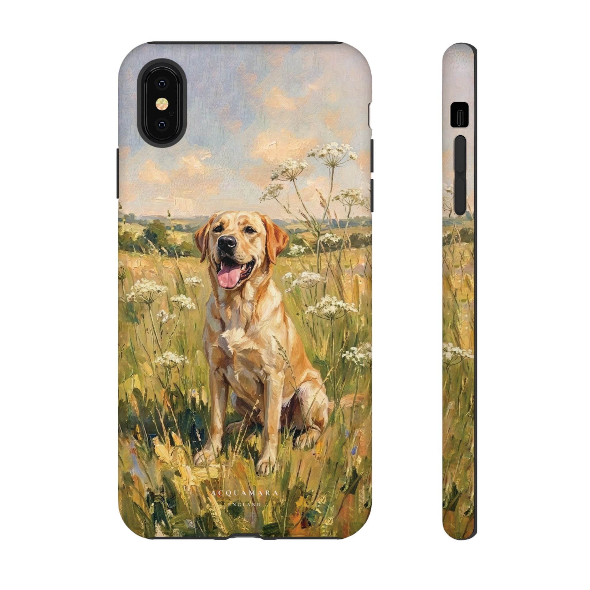The Labrador (Yellow)