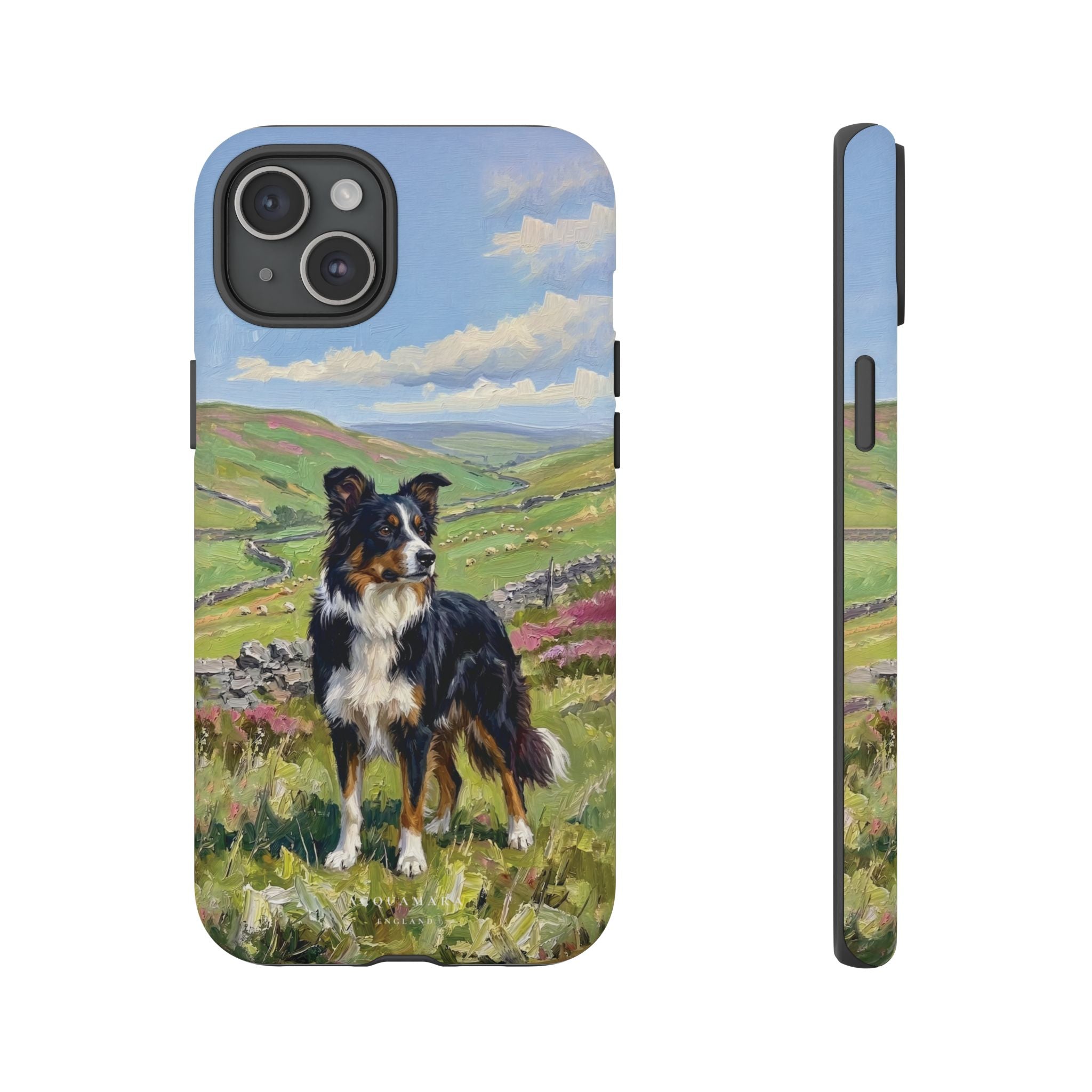 The Border Collie