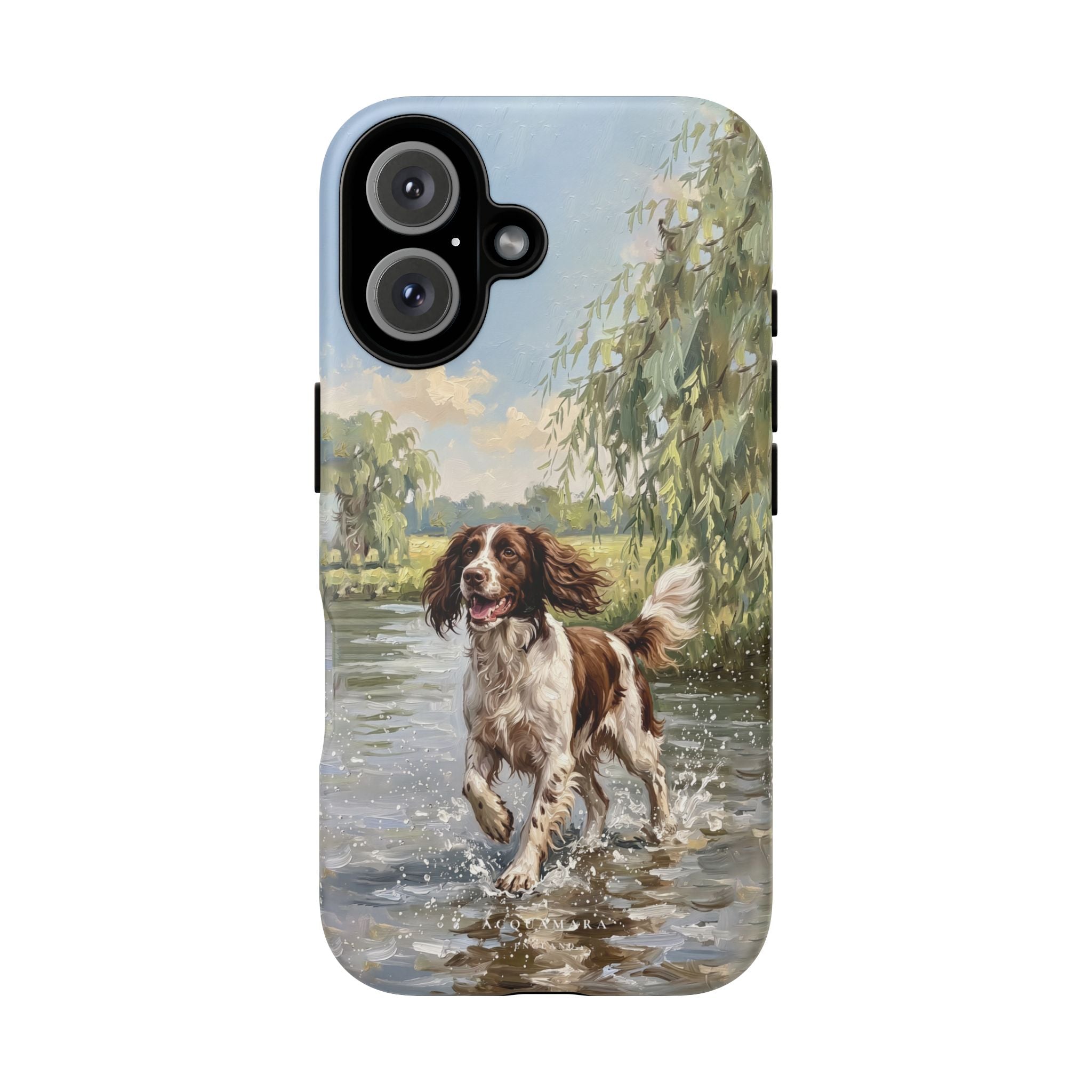 The Springer Spaniel (Liver and White)