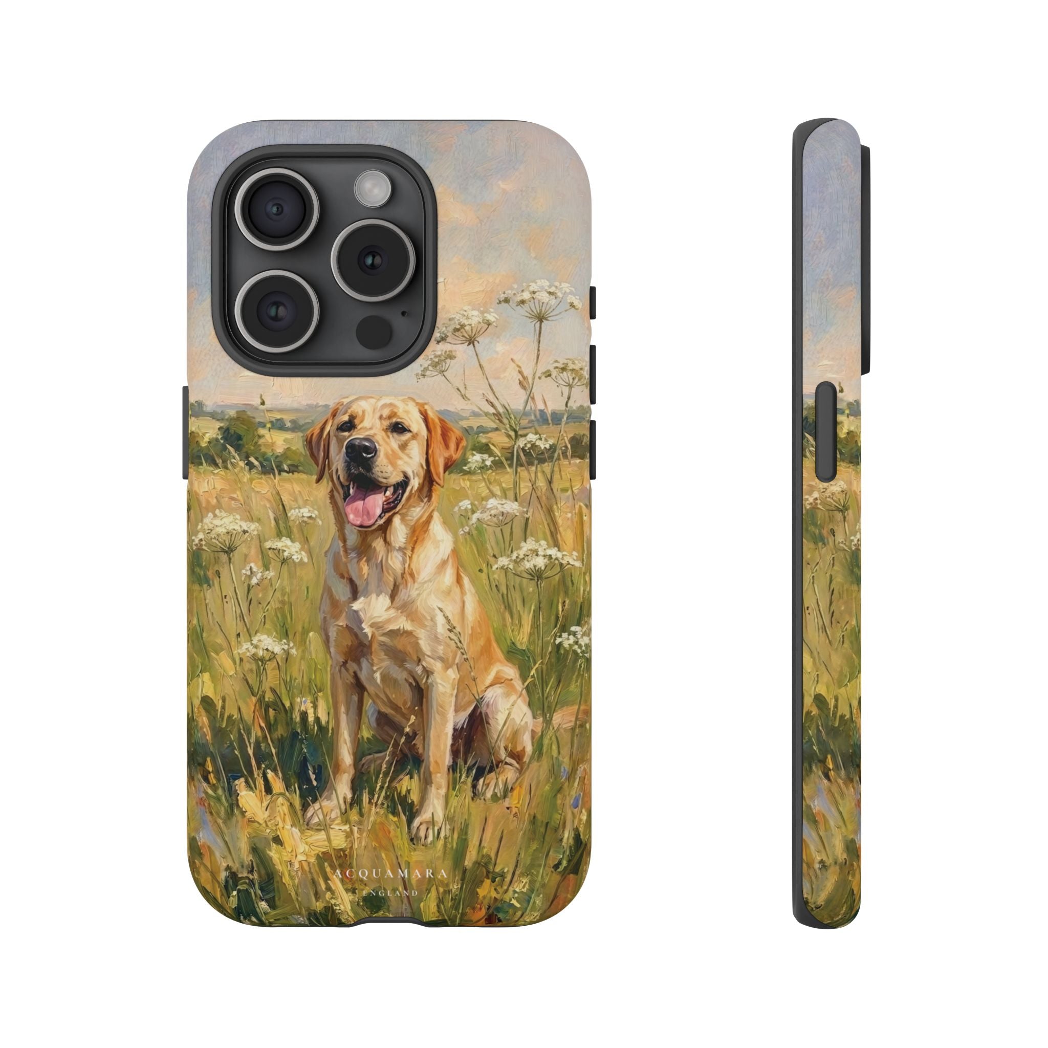 The Labrador (Yellow)