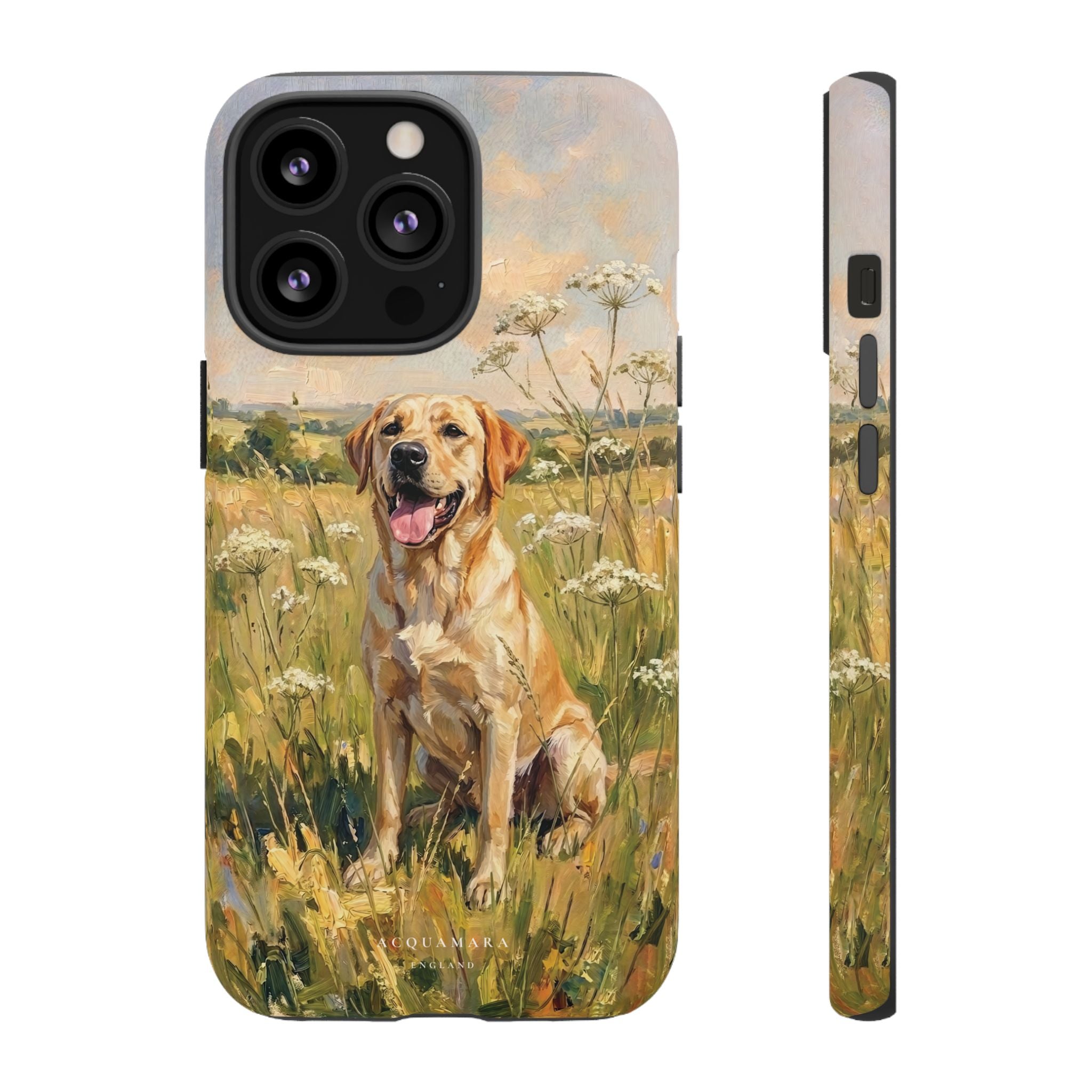 The Labrador (Yellow)