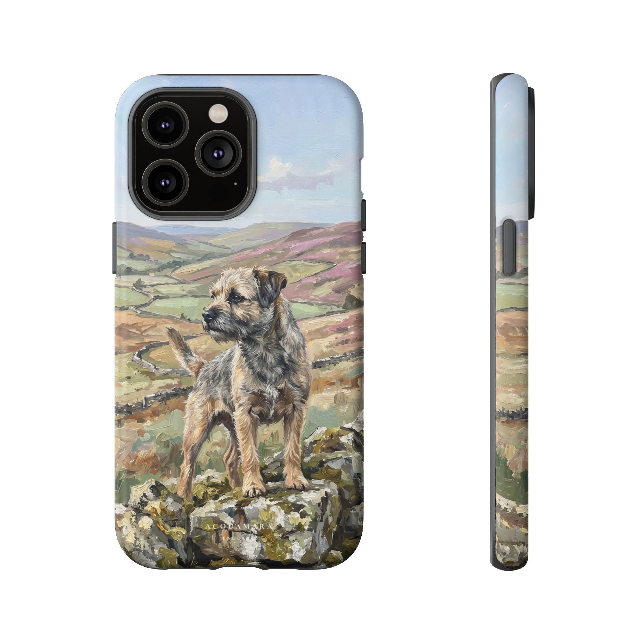 The Border Terrier (Grizzle and Tan)