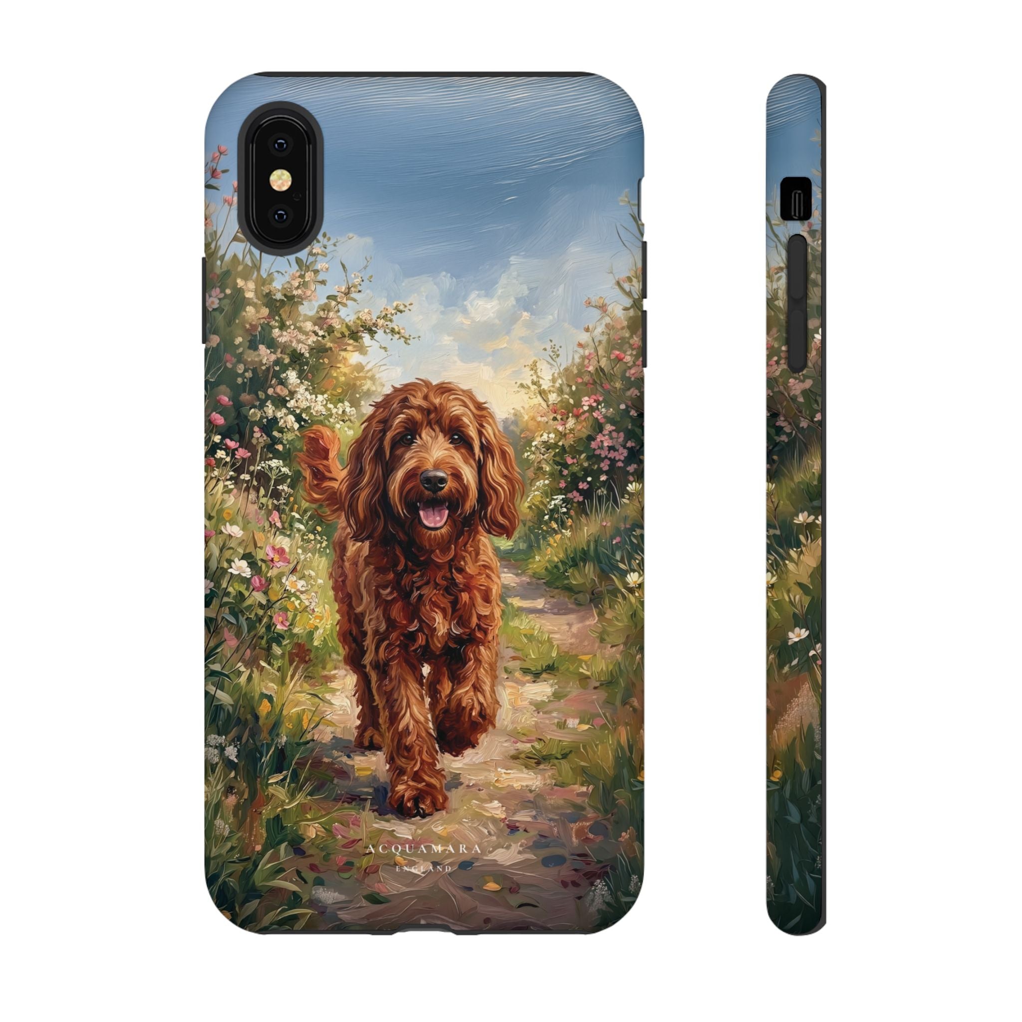 The Goldendoodle
