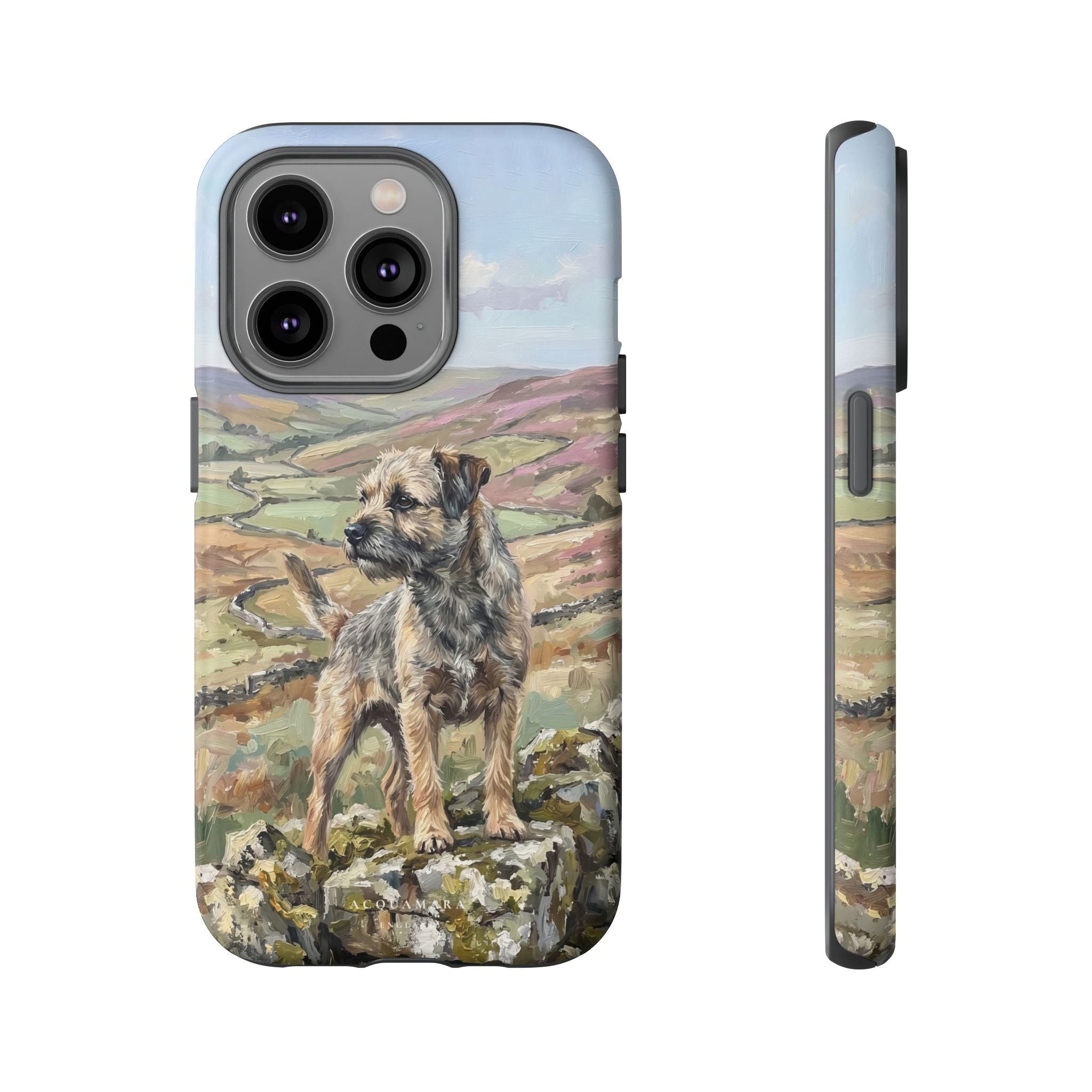 The Border Terrier (Grizzle and Tan)