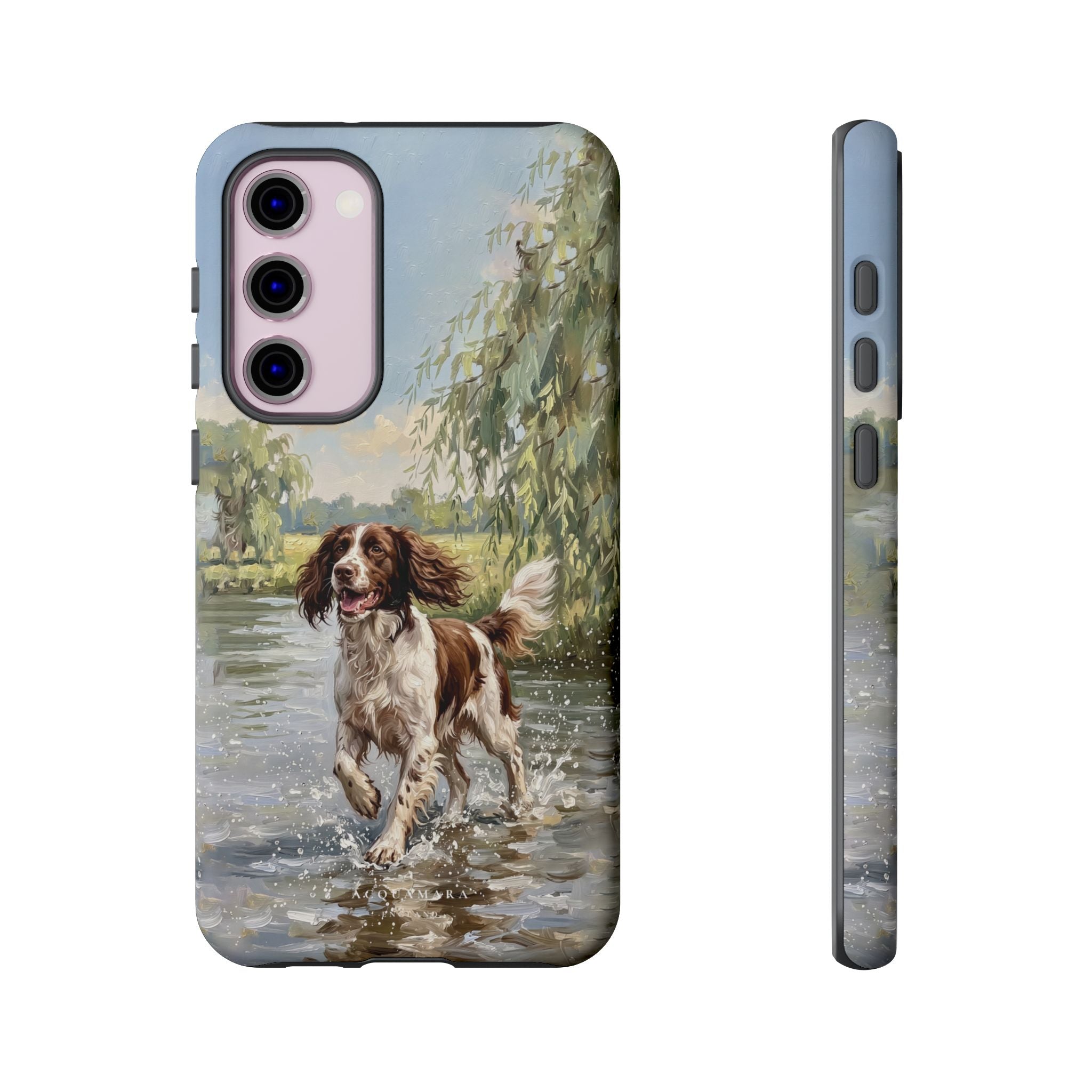 The Springer Spaniel (Liver and White)