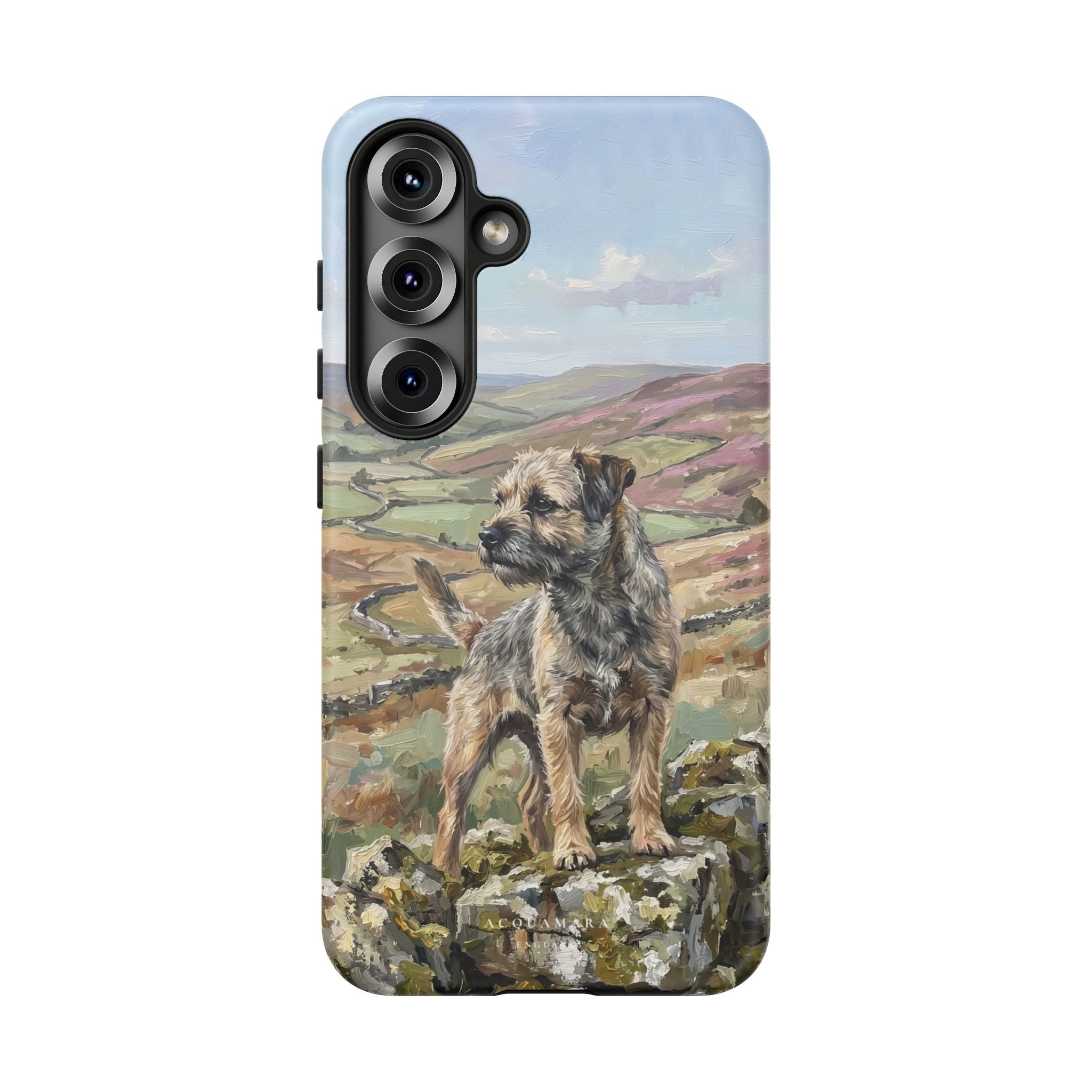 The Border Terrier (Grizzle and Tan)