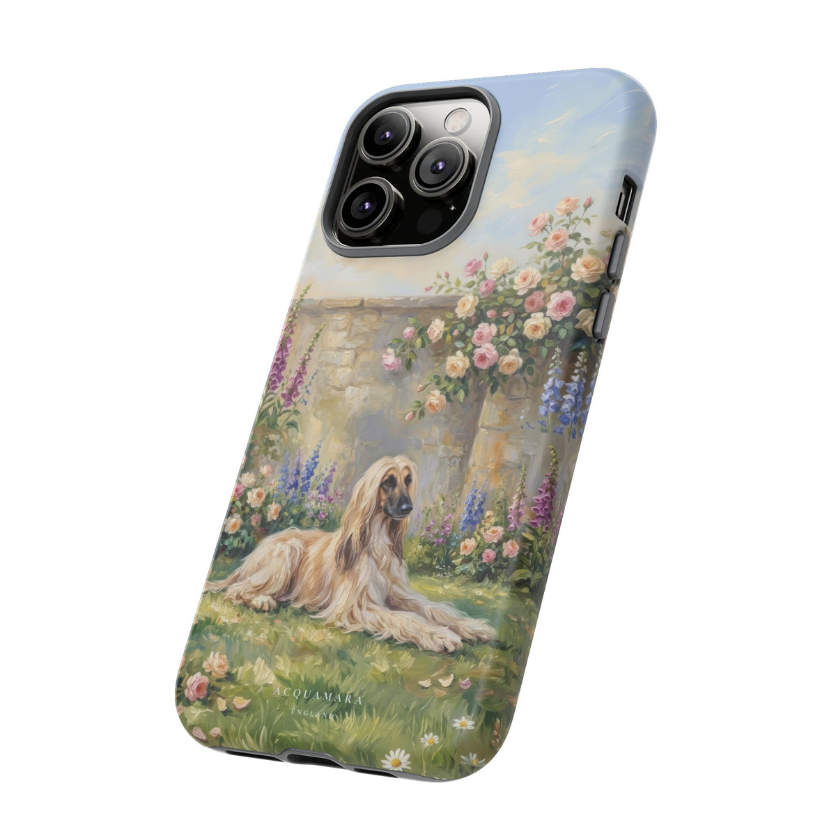The Afghan Hound (Standard)