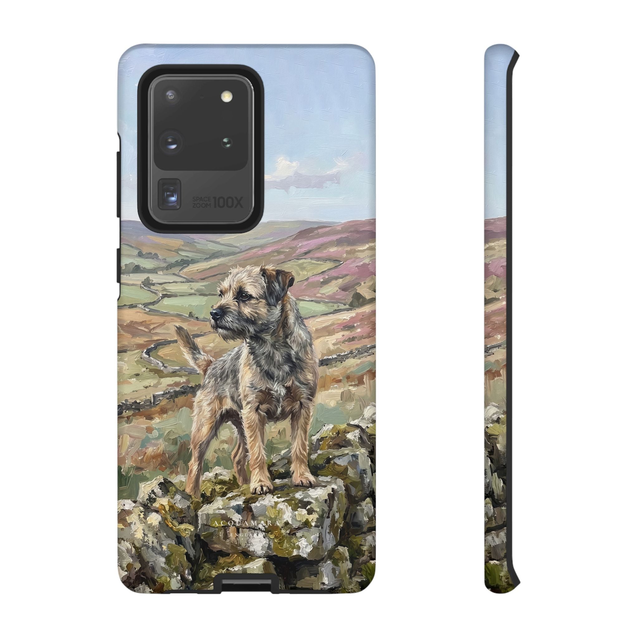 The Border Terrier (Grizzle and Tan)