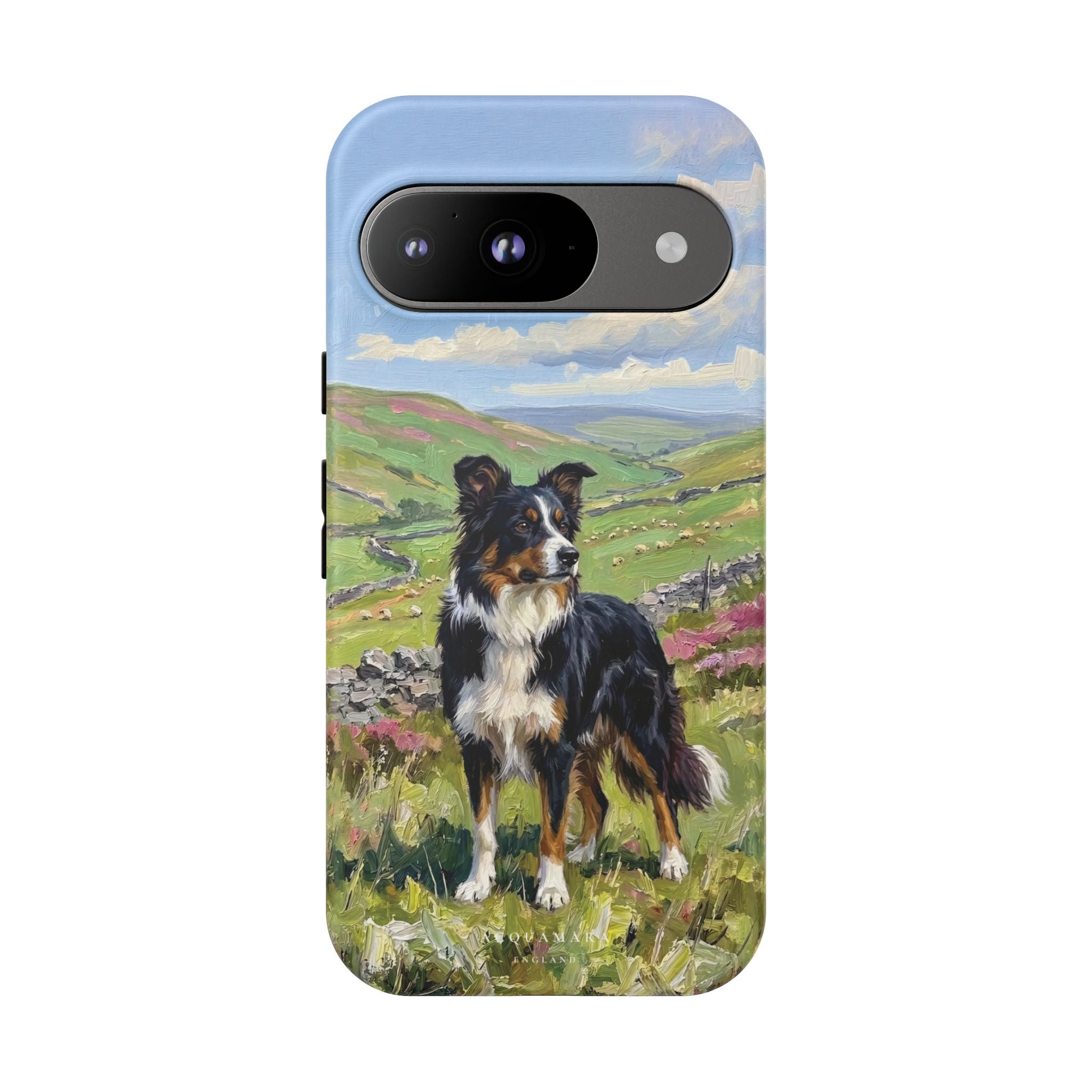The Border Collie