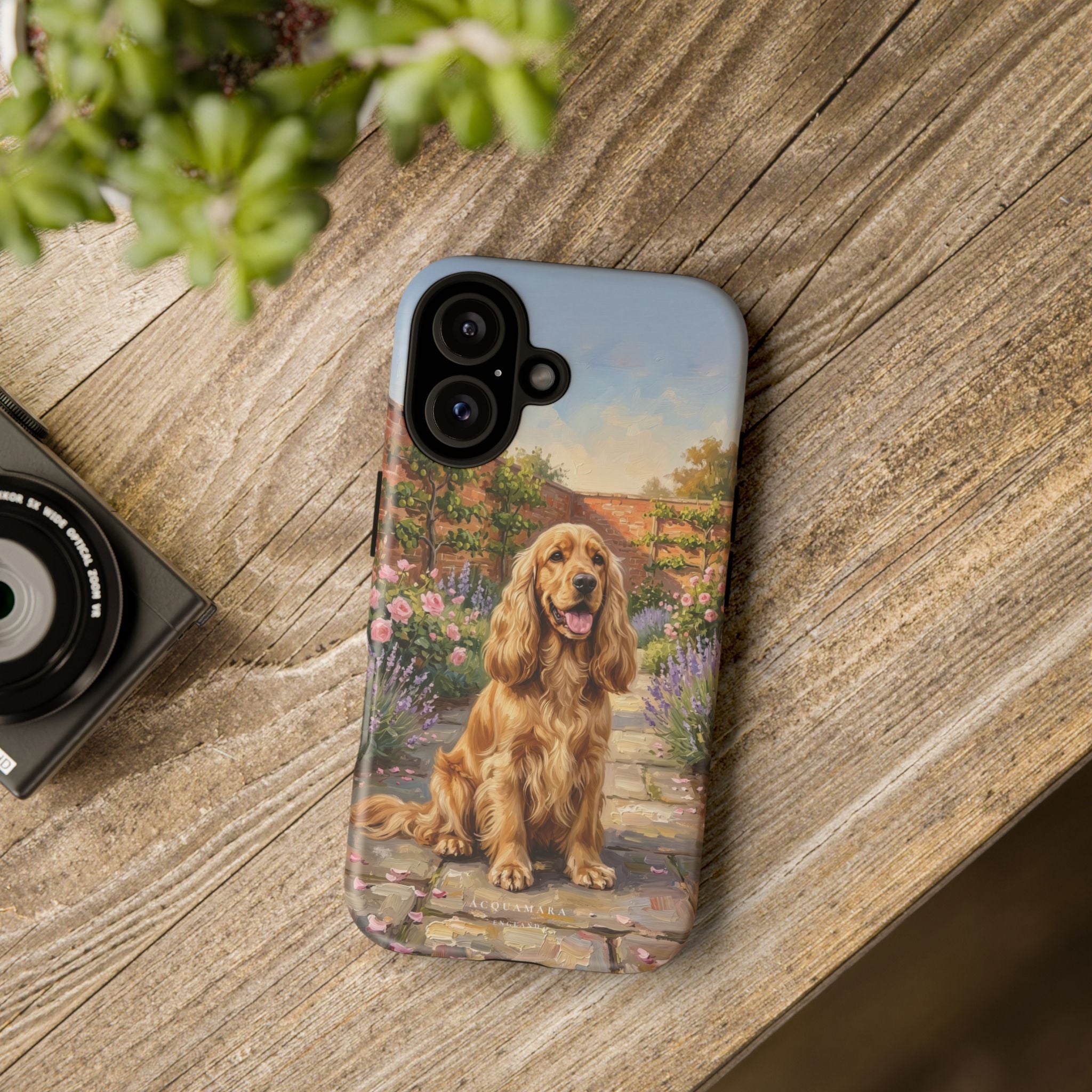 The Show Cocker (Golden)