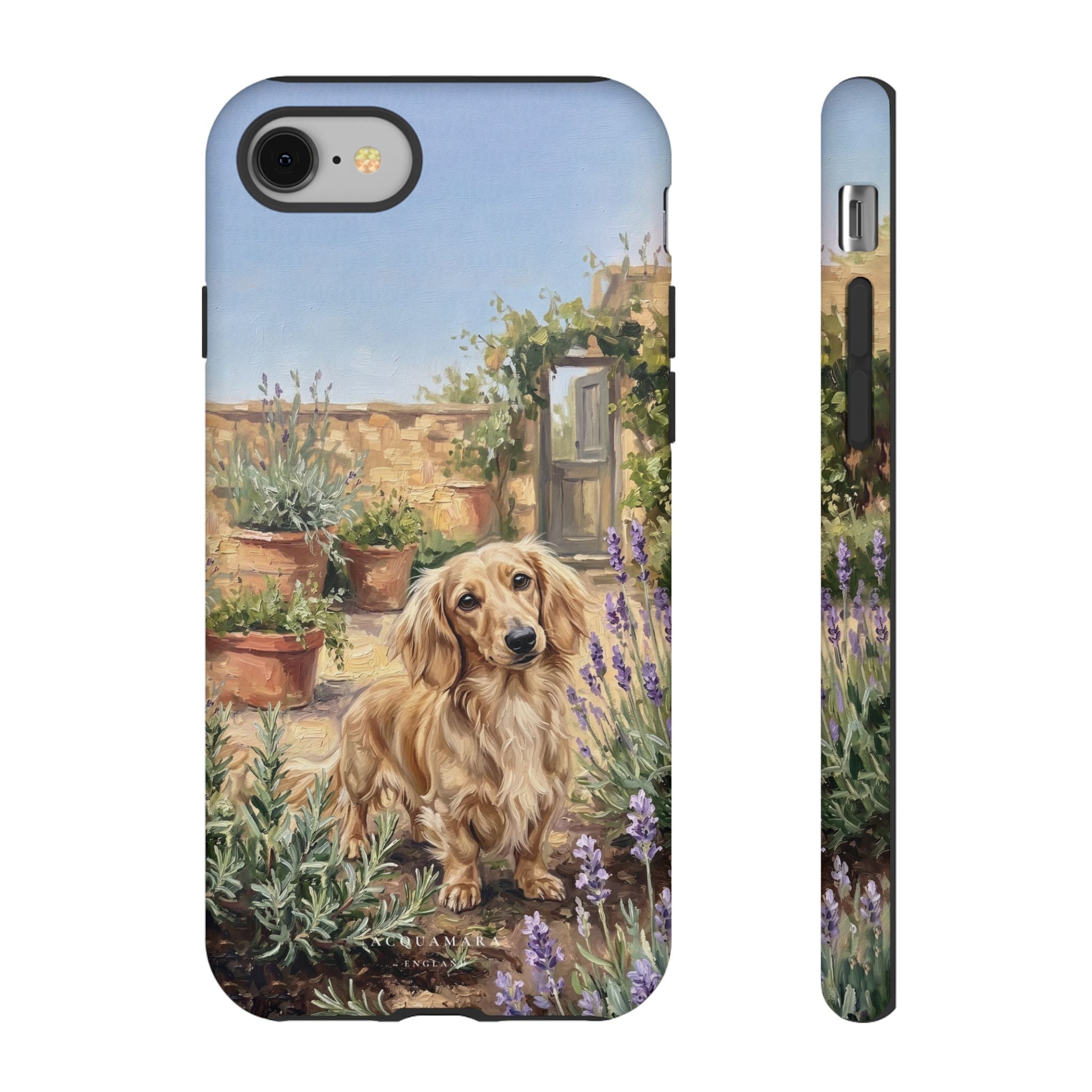 The Dachshund (Blonde long hair)
