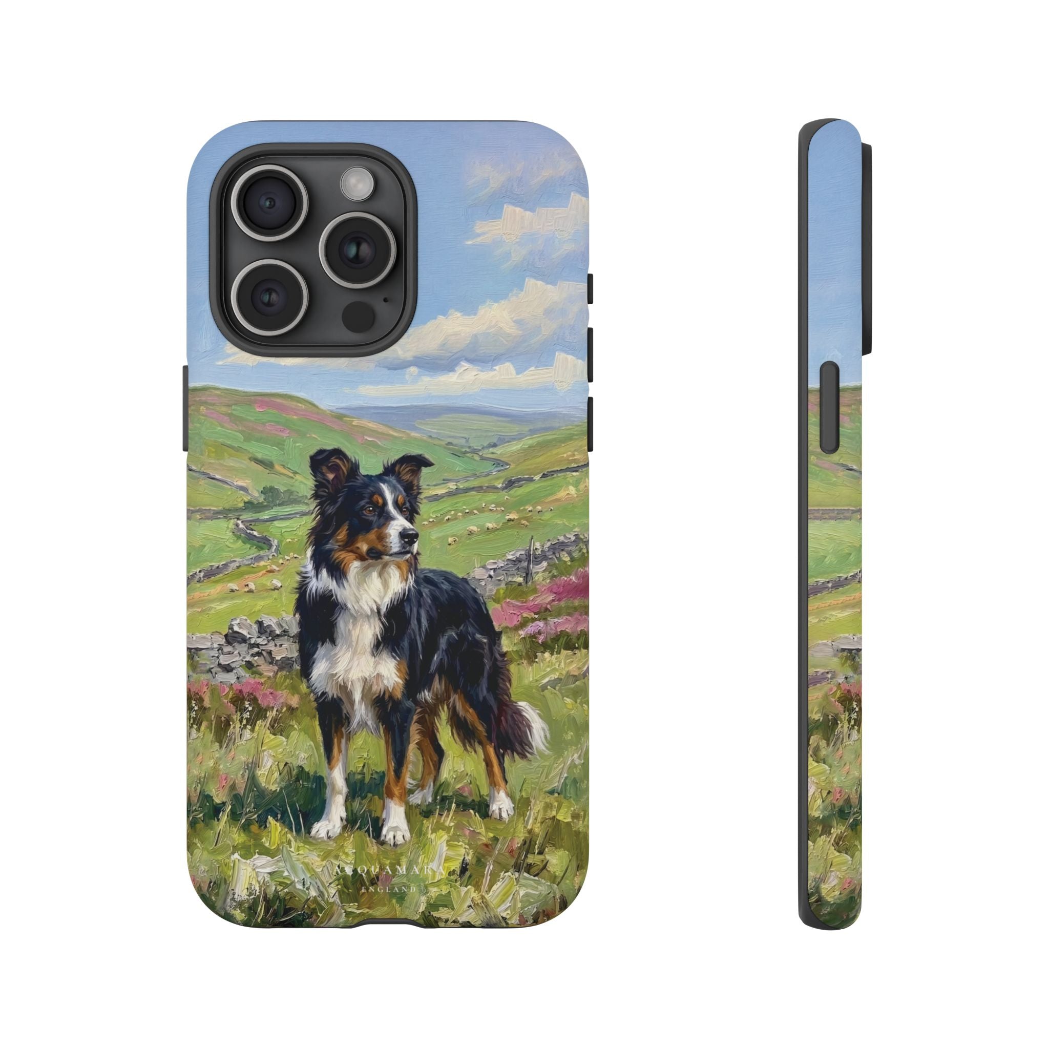 The Border Collie