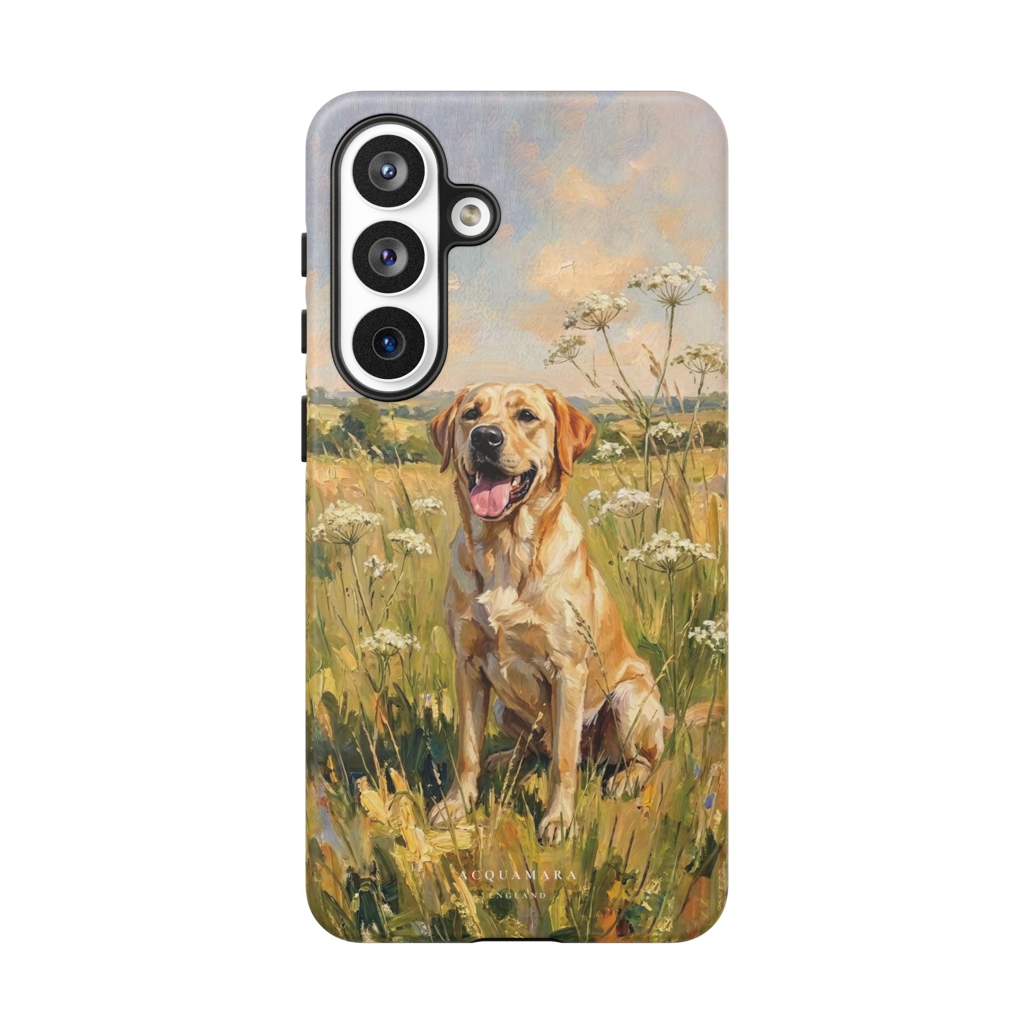 The Labrador (Yellow)