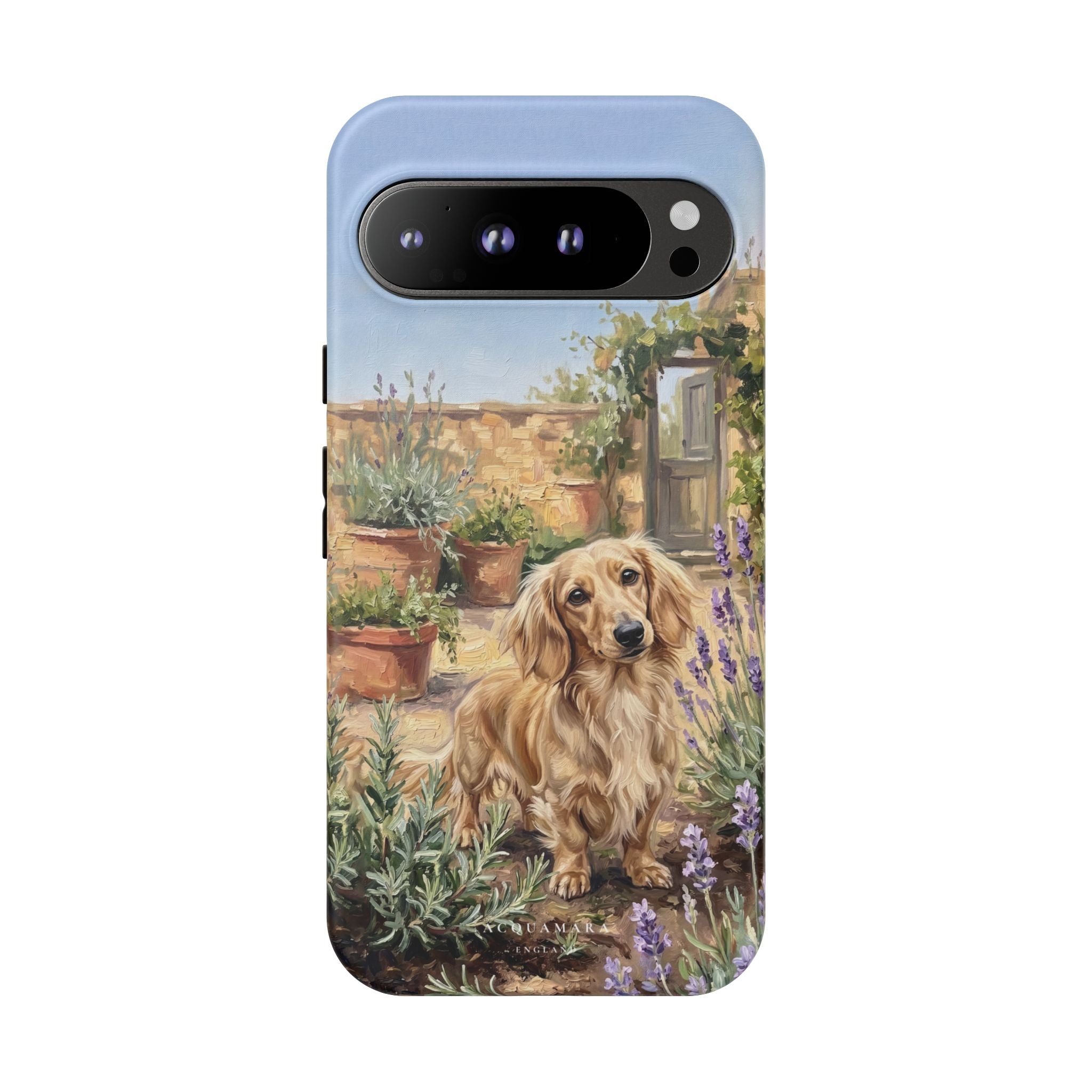 The Dachshund (Blonde long hair)