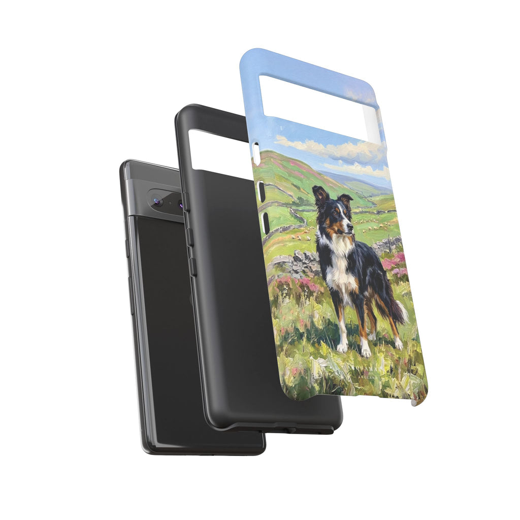 The Border Collie