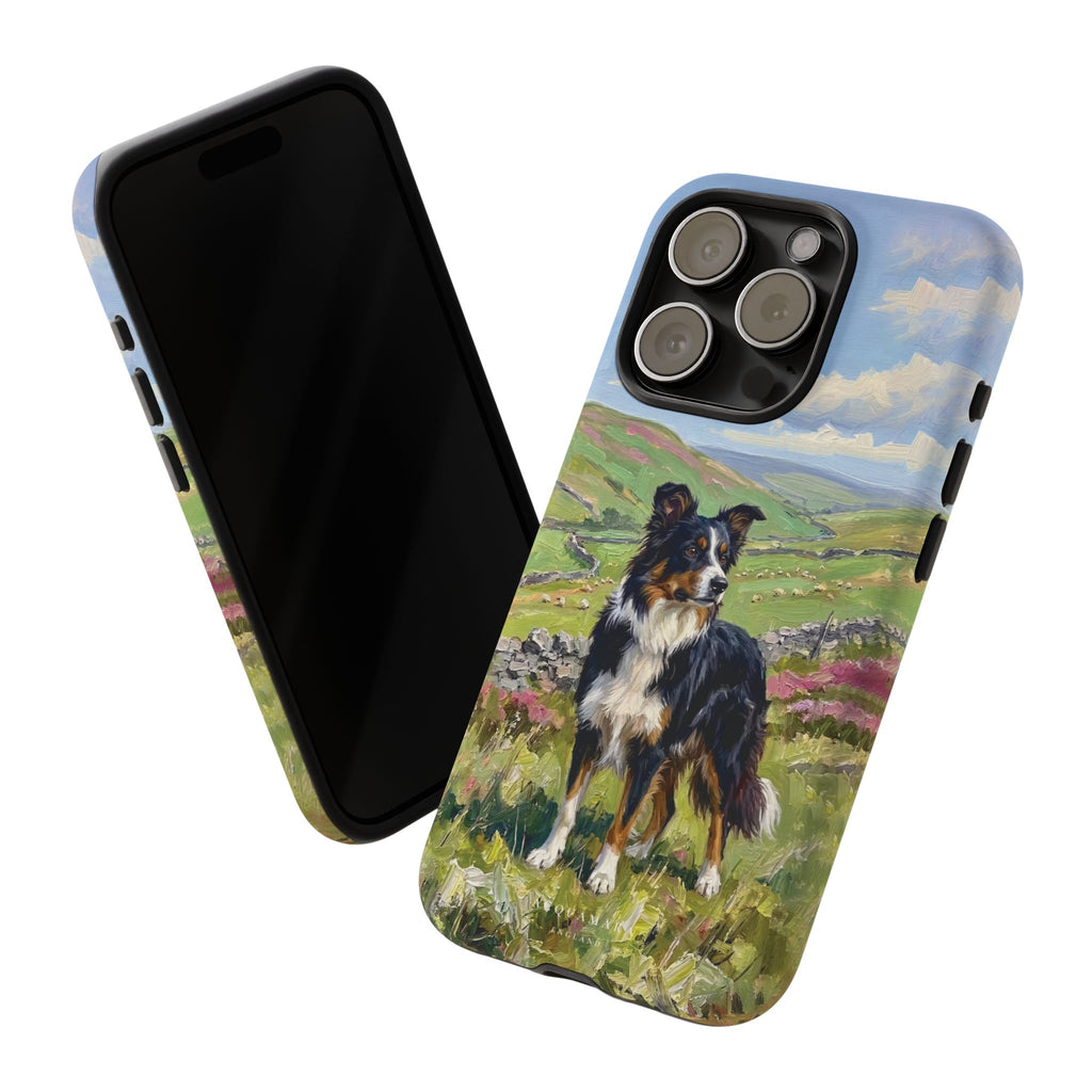 The Border Collie