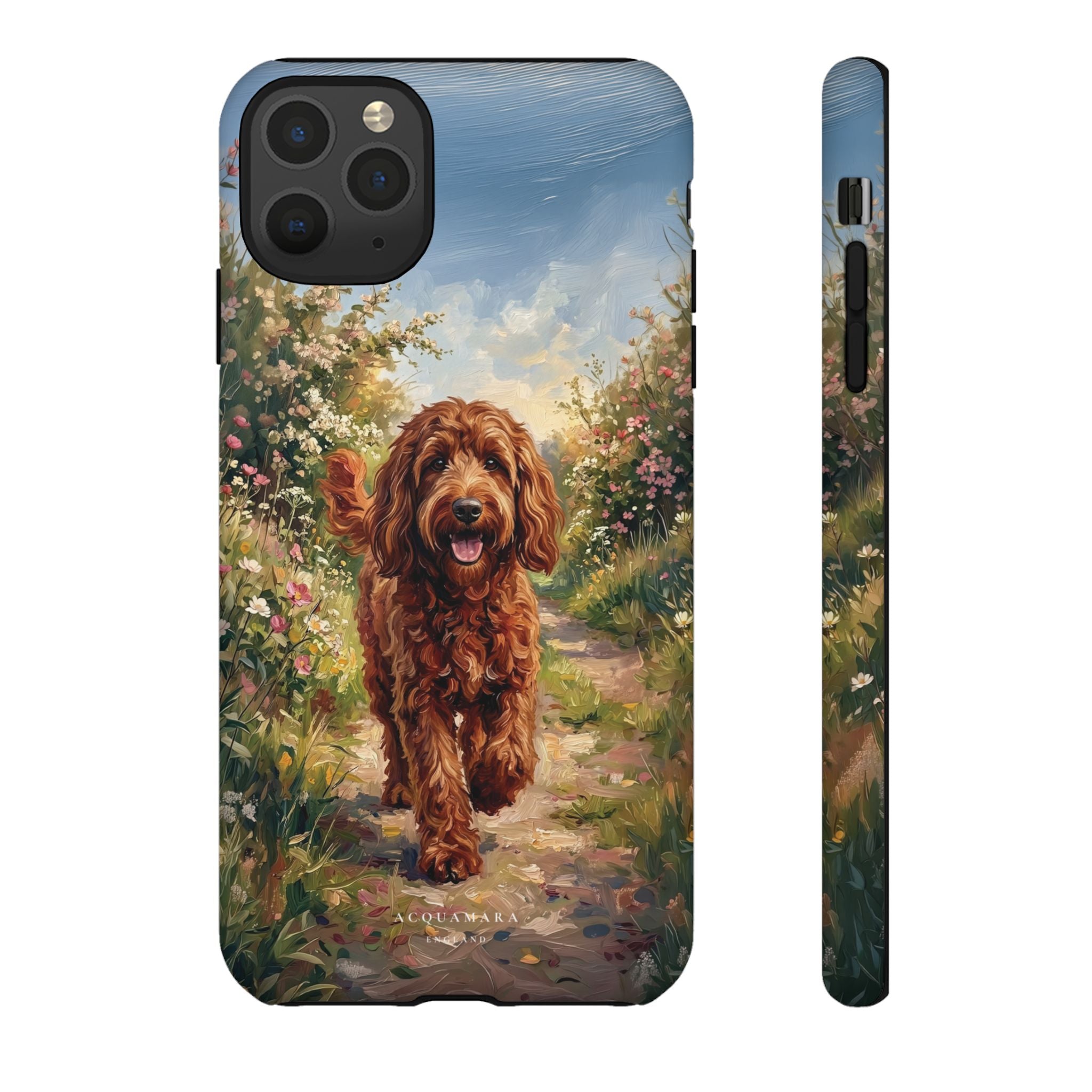 The Goldendoodle