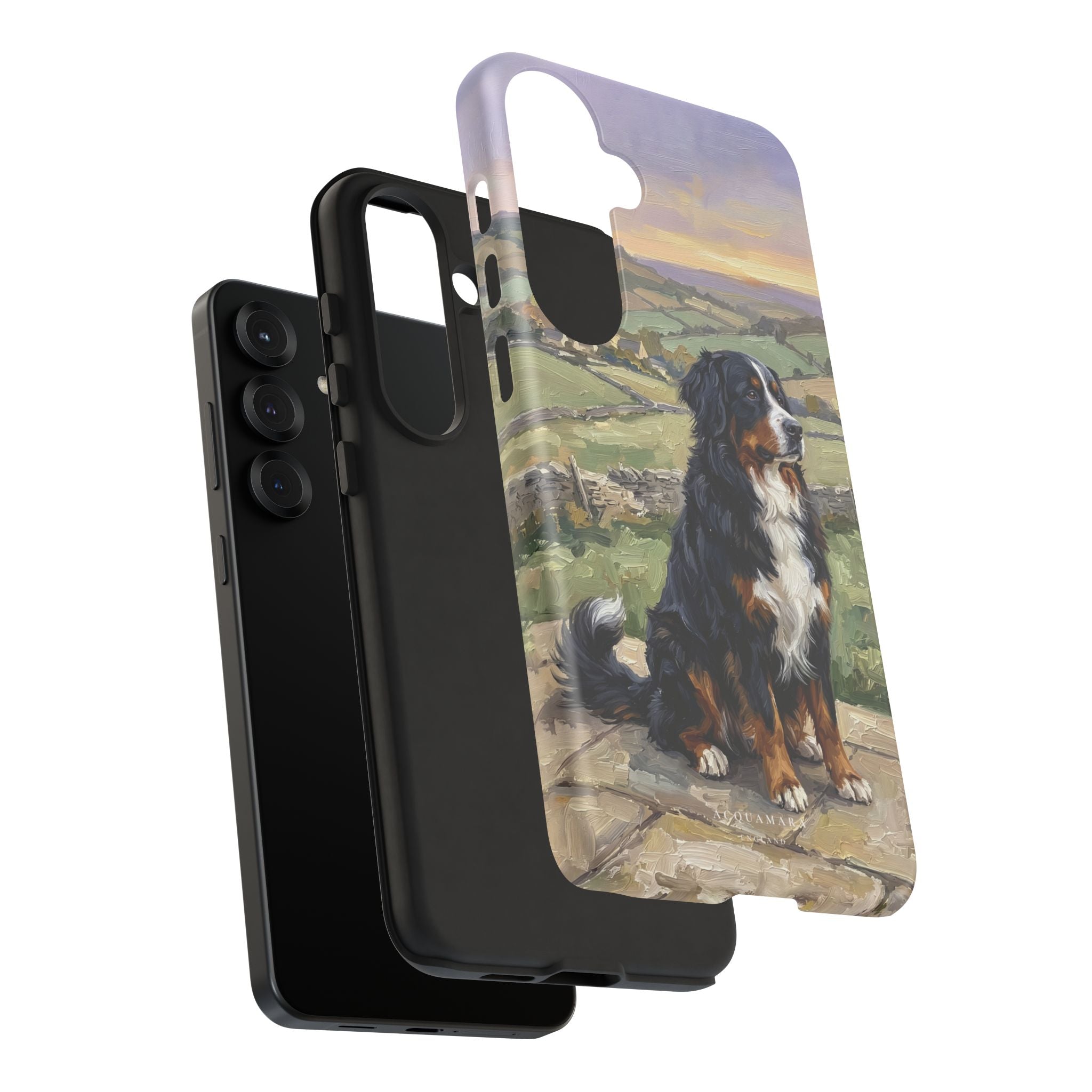 The Bernese Mountain Dog