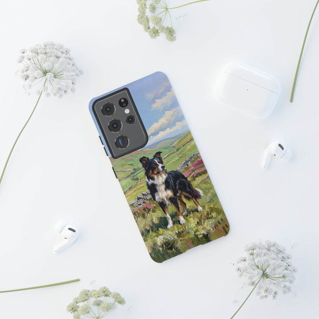 The Border Collie