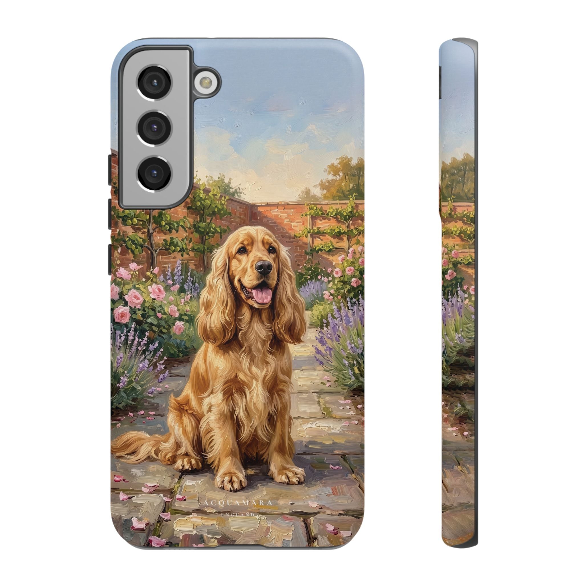 The Show Cocker (Golden)