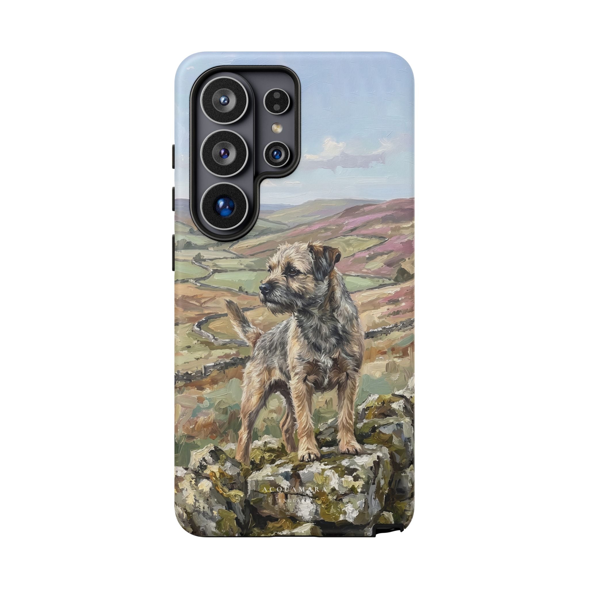 The Border Terrier (Grizzle and Tan)
