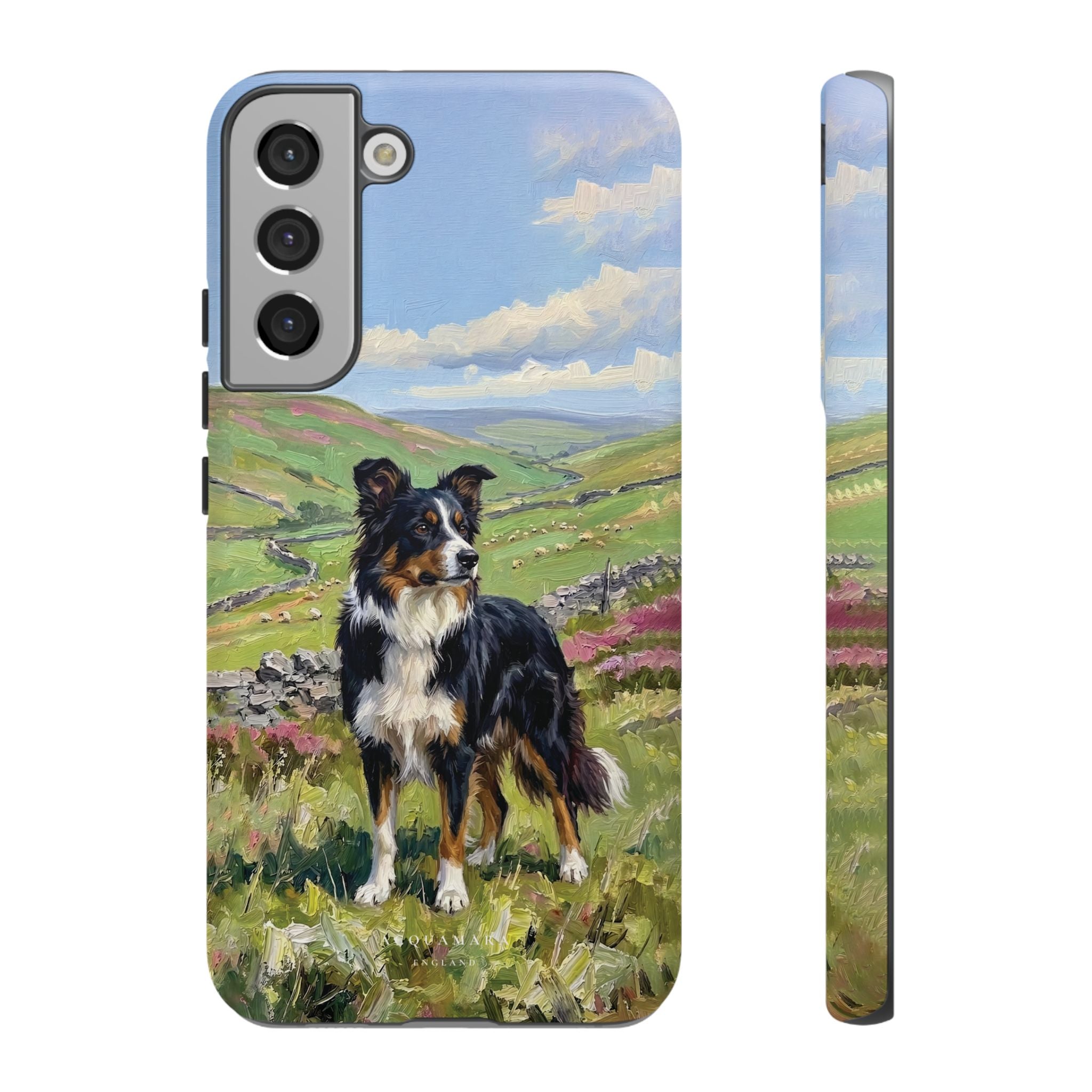 The Border Collie
