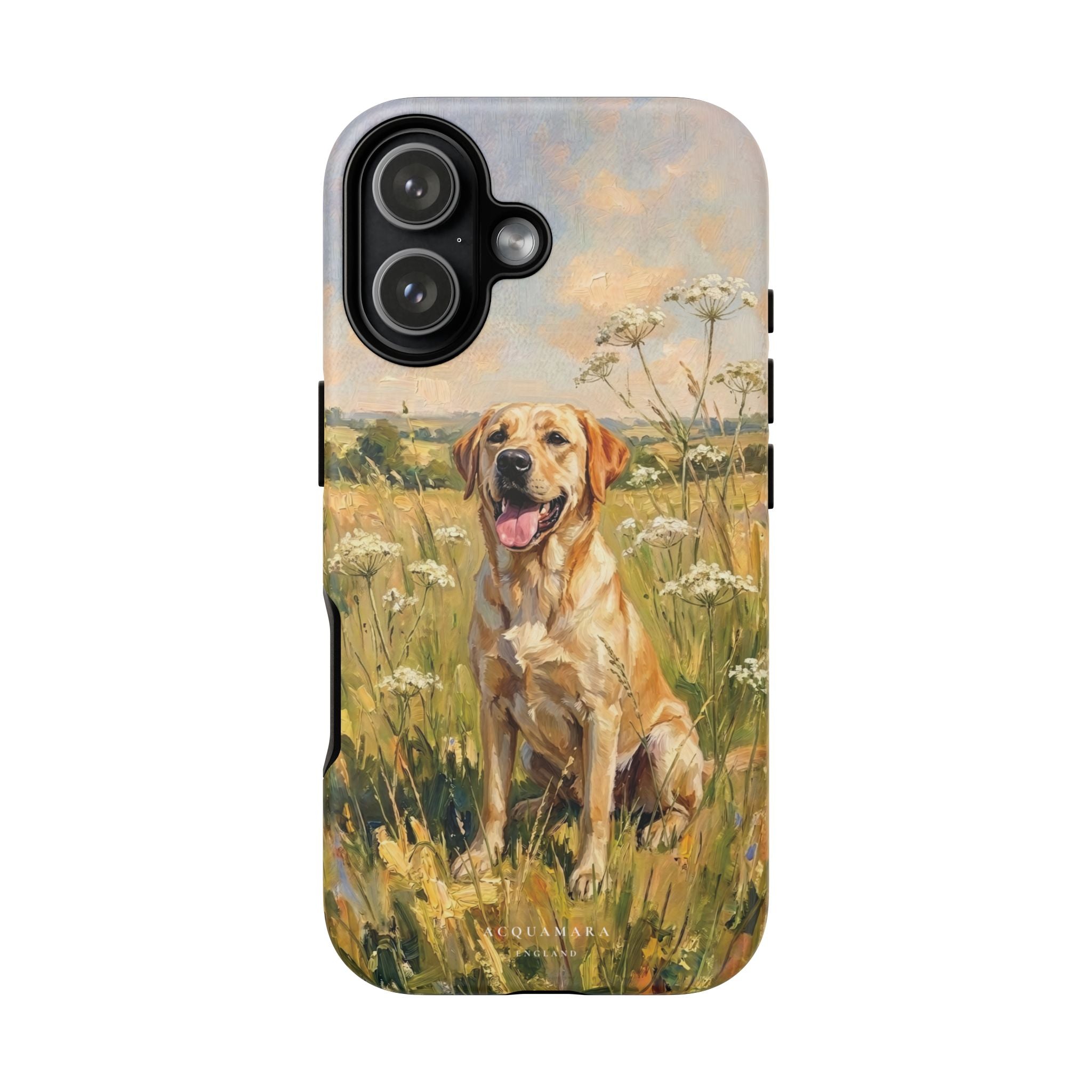 The Labrador (Yellow)