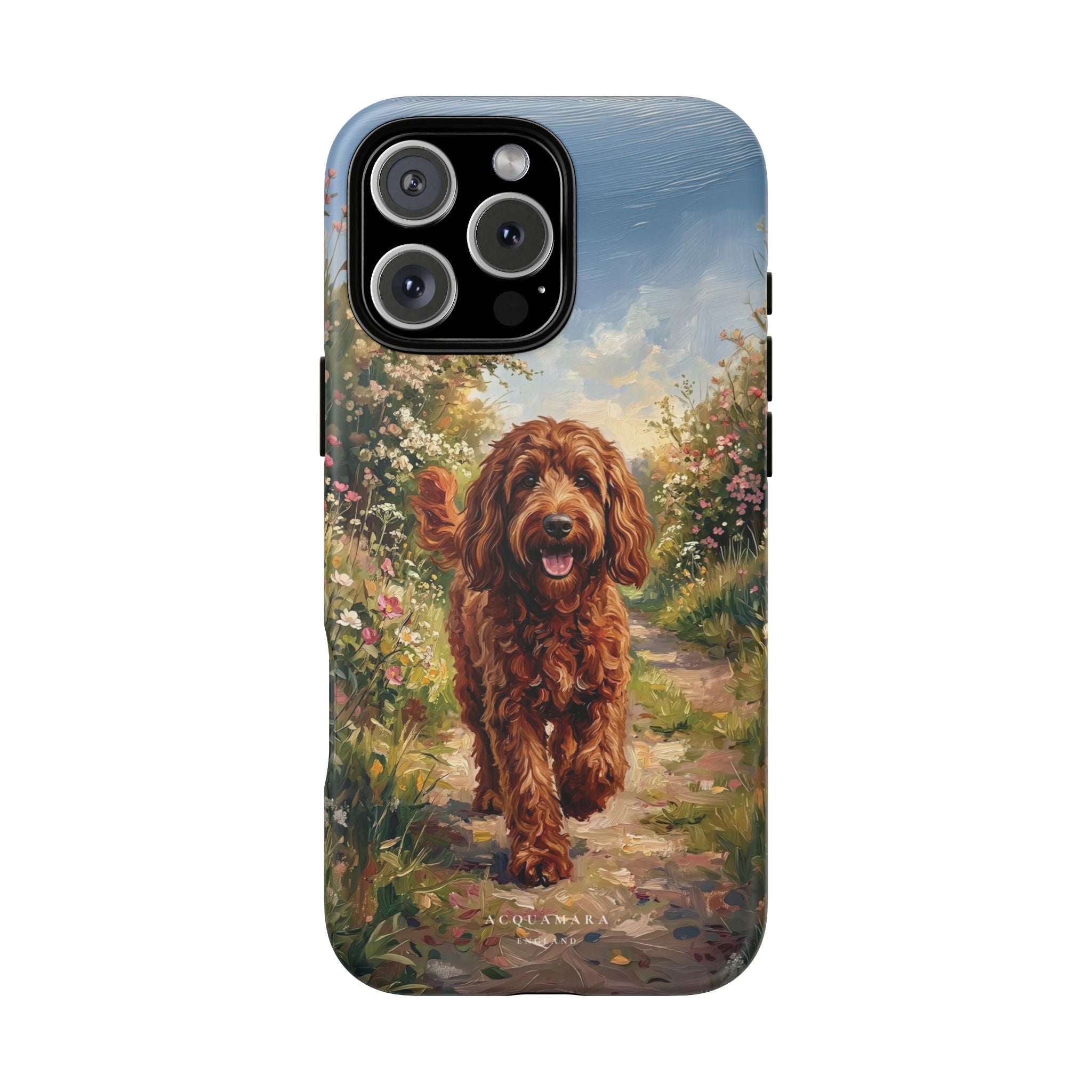 The Goldendoodle