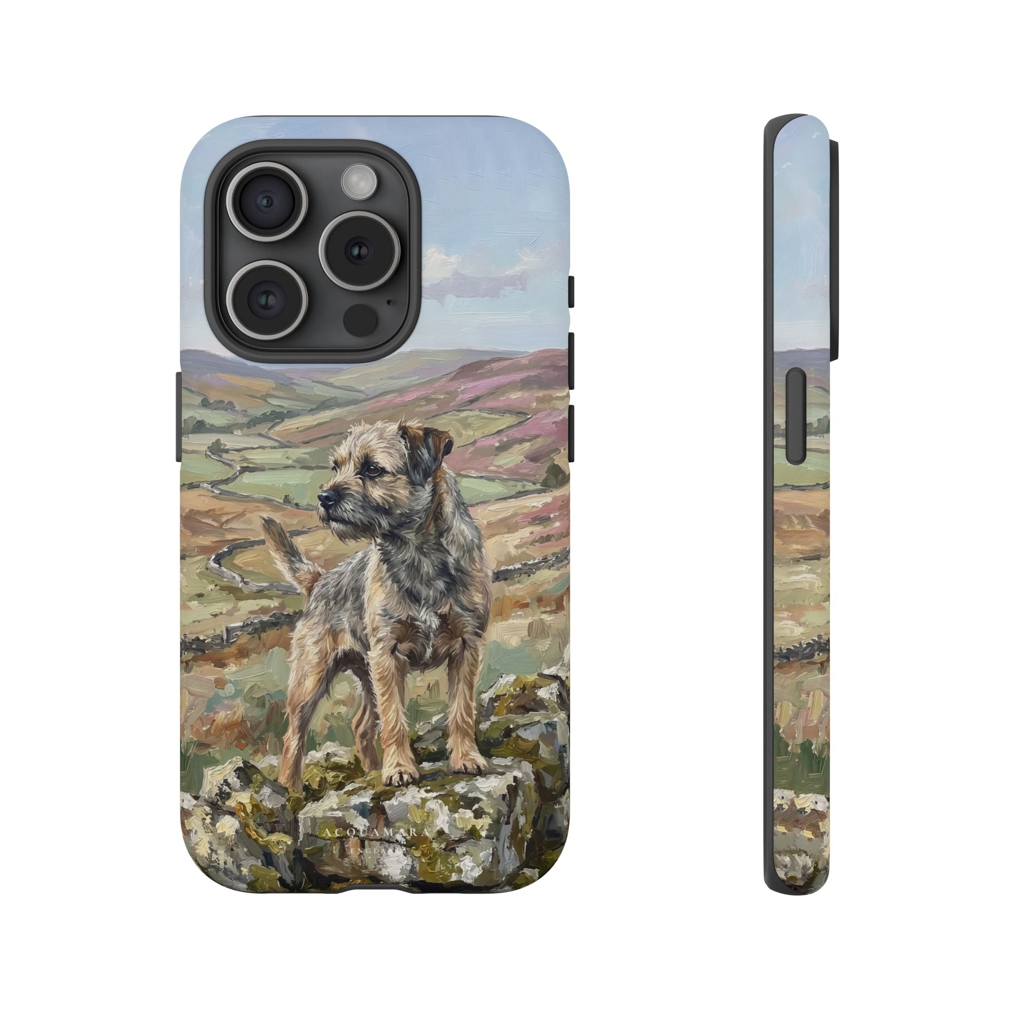 The Border Terrier (Grizzle and Tan)
