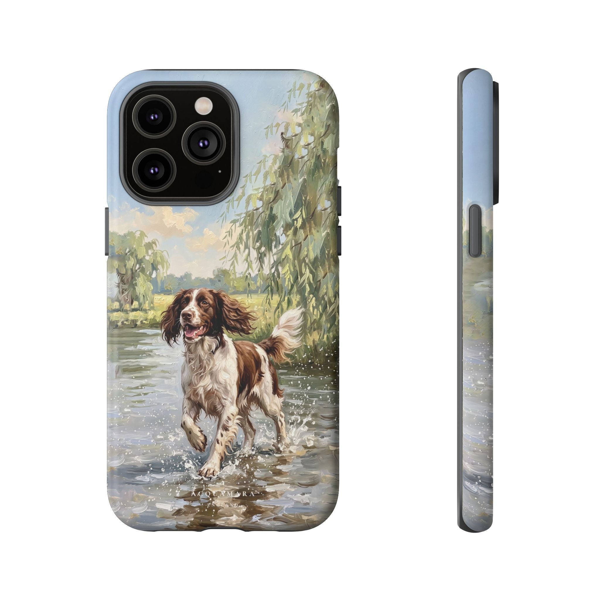 The Springer Spaniel (Liver and White)