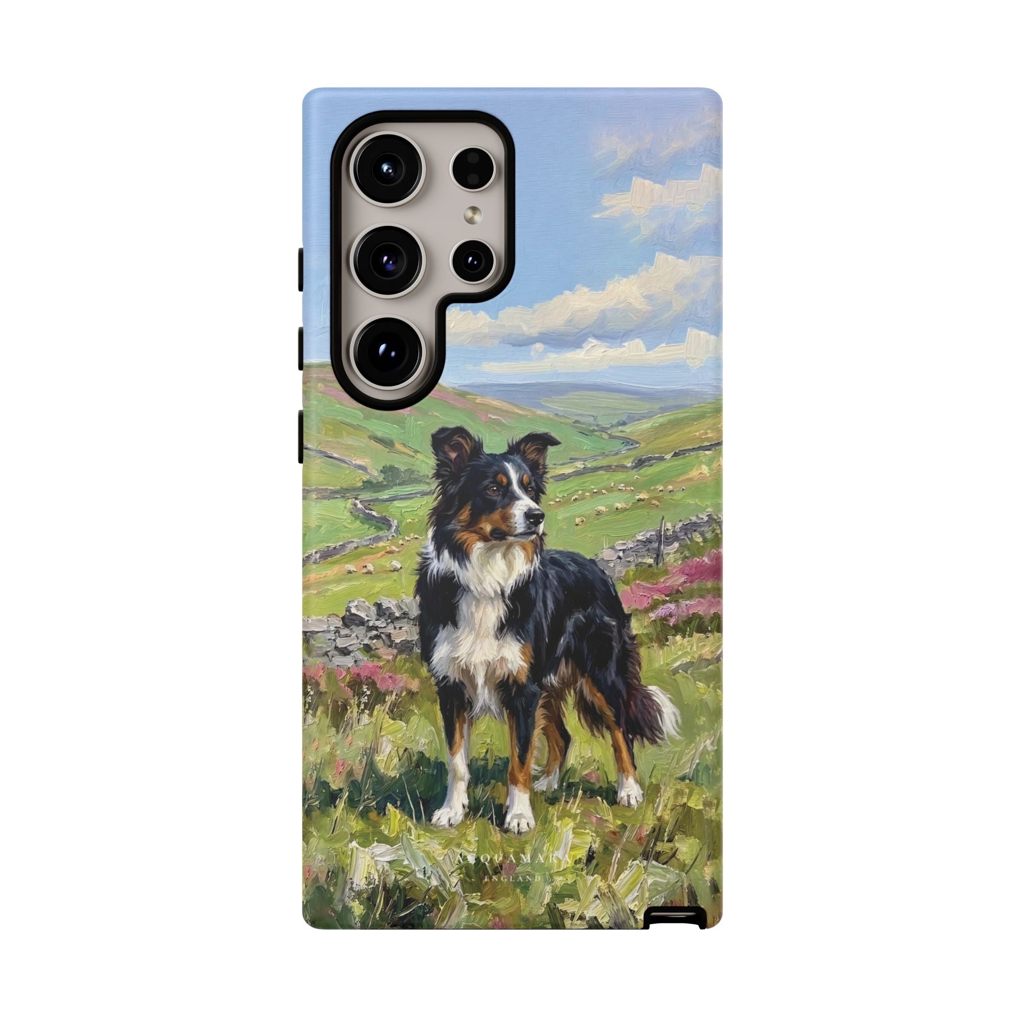The Border Collie