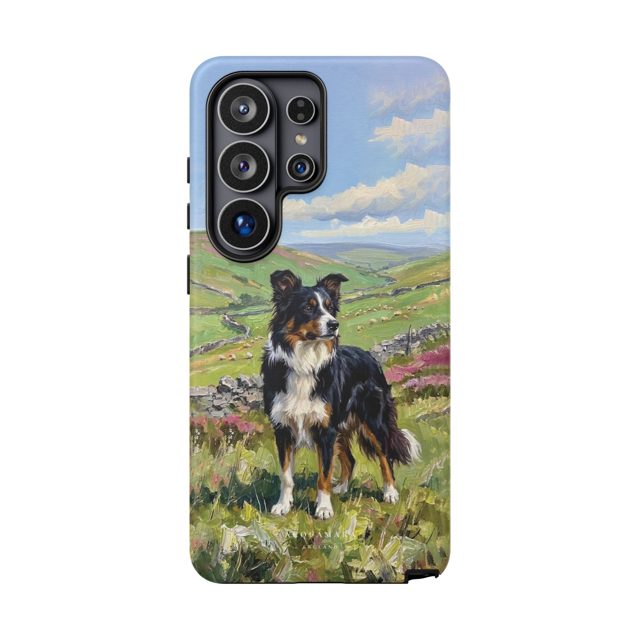 The Border Collie